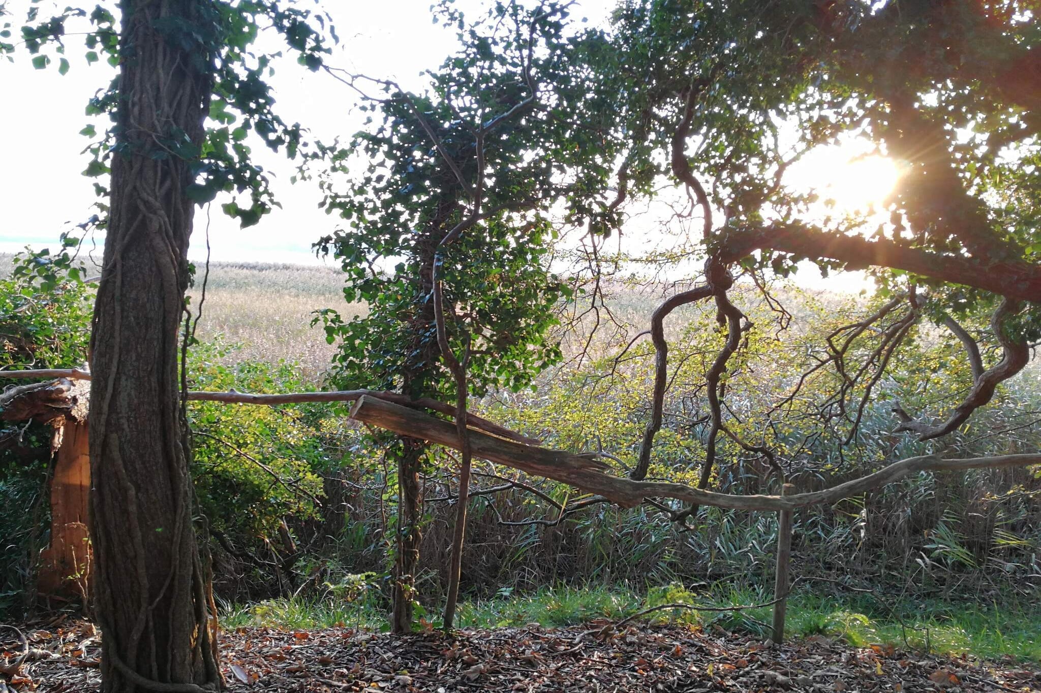 6 Personen Ferienhaus in Præstø-By Traum-Nicht zugeordnet