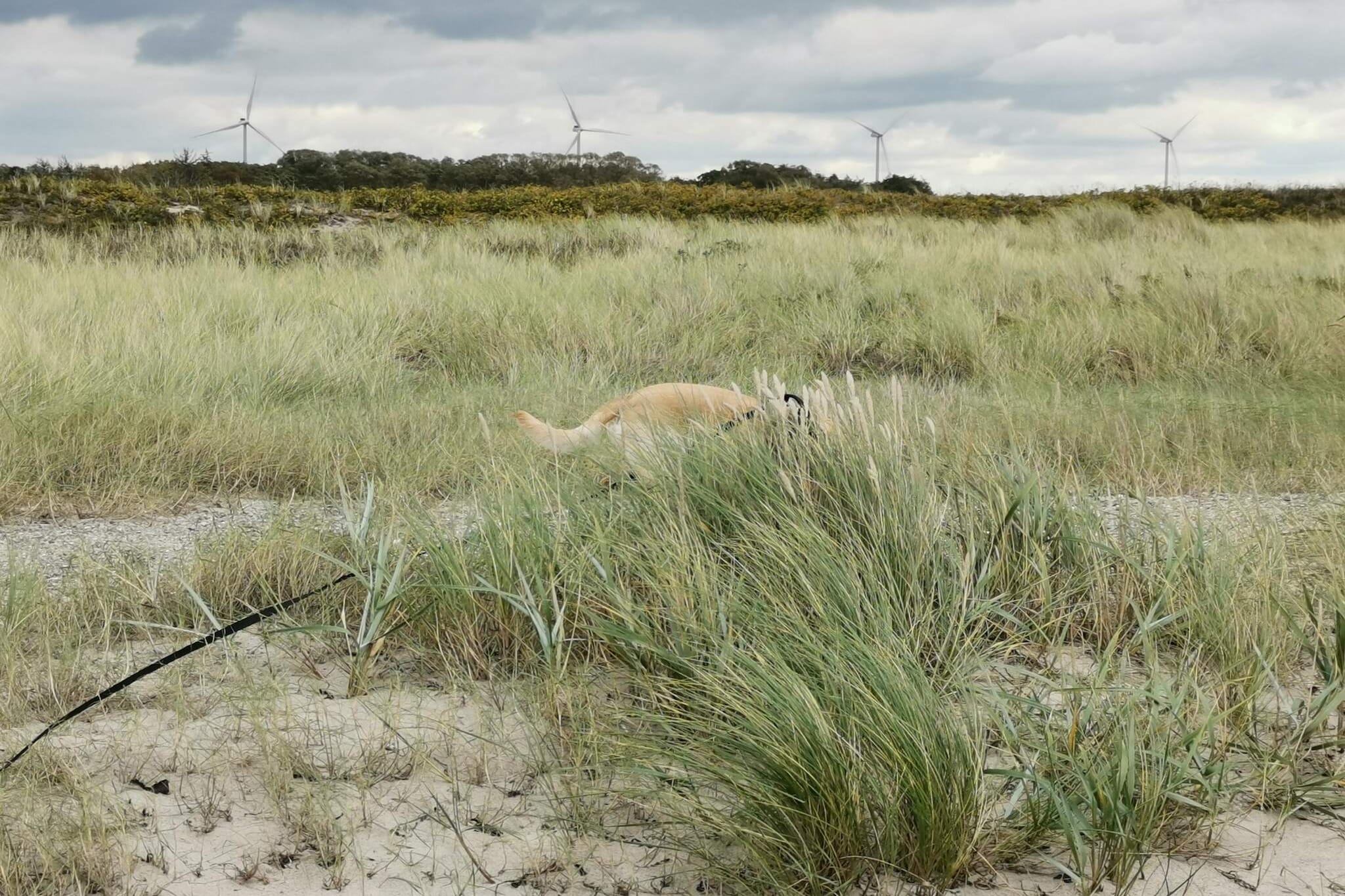 Kustretreat in Lolland -- By Traum Ferienwohnungen-Niet-getagd