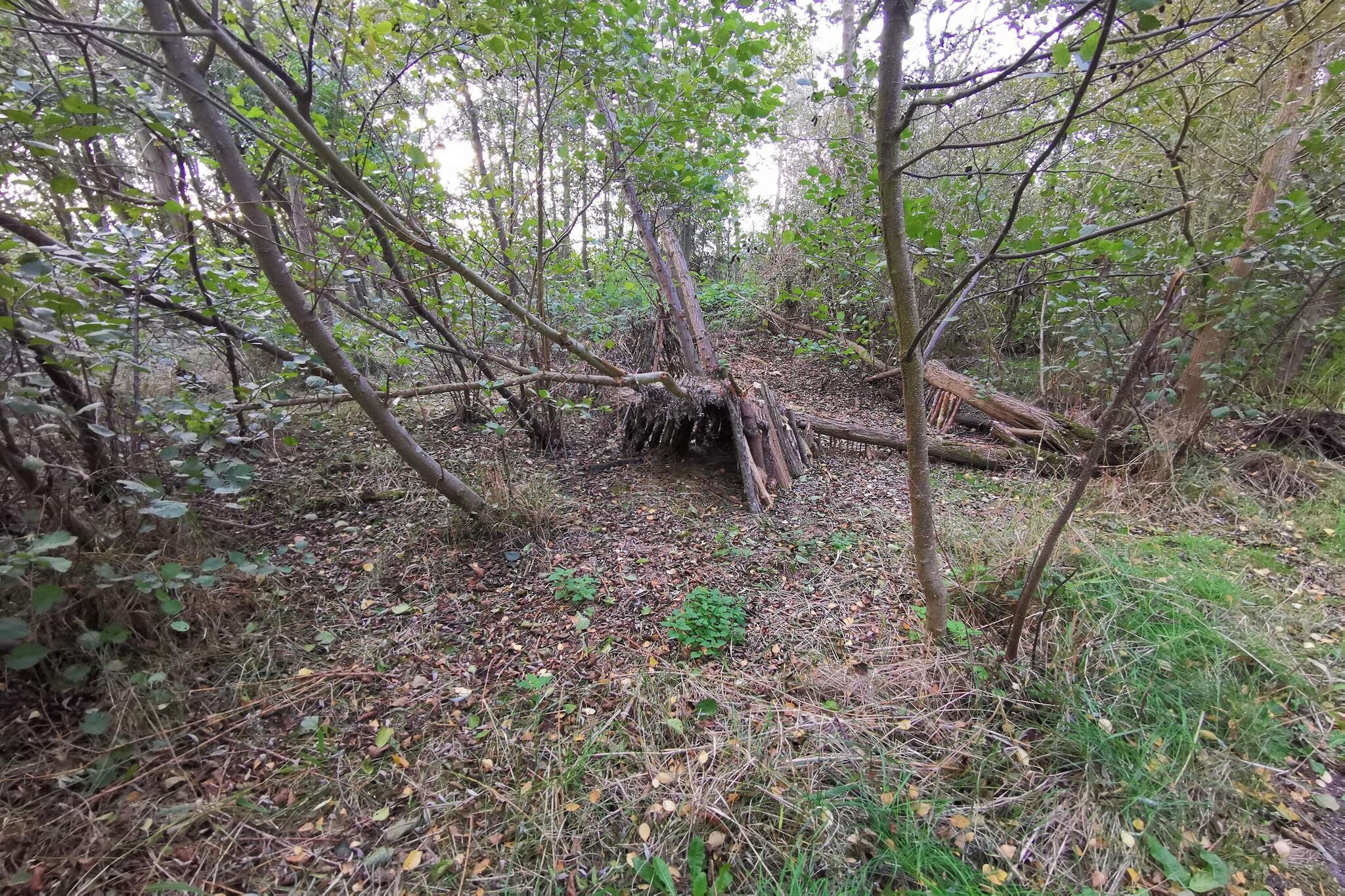 Kustretreat in Lolland -- By Traum Ferienwohnungen-Niet-getagd