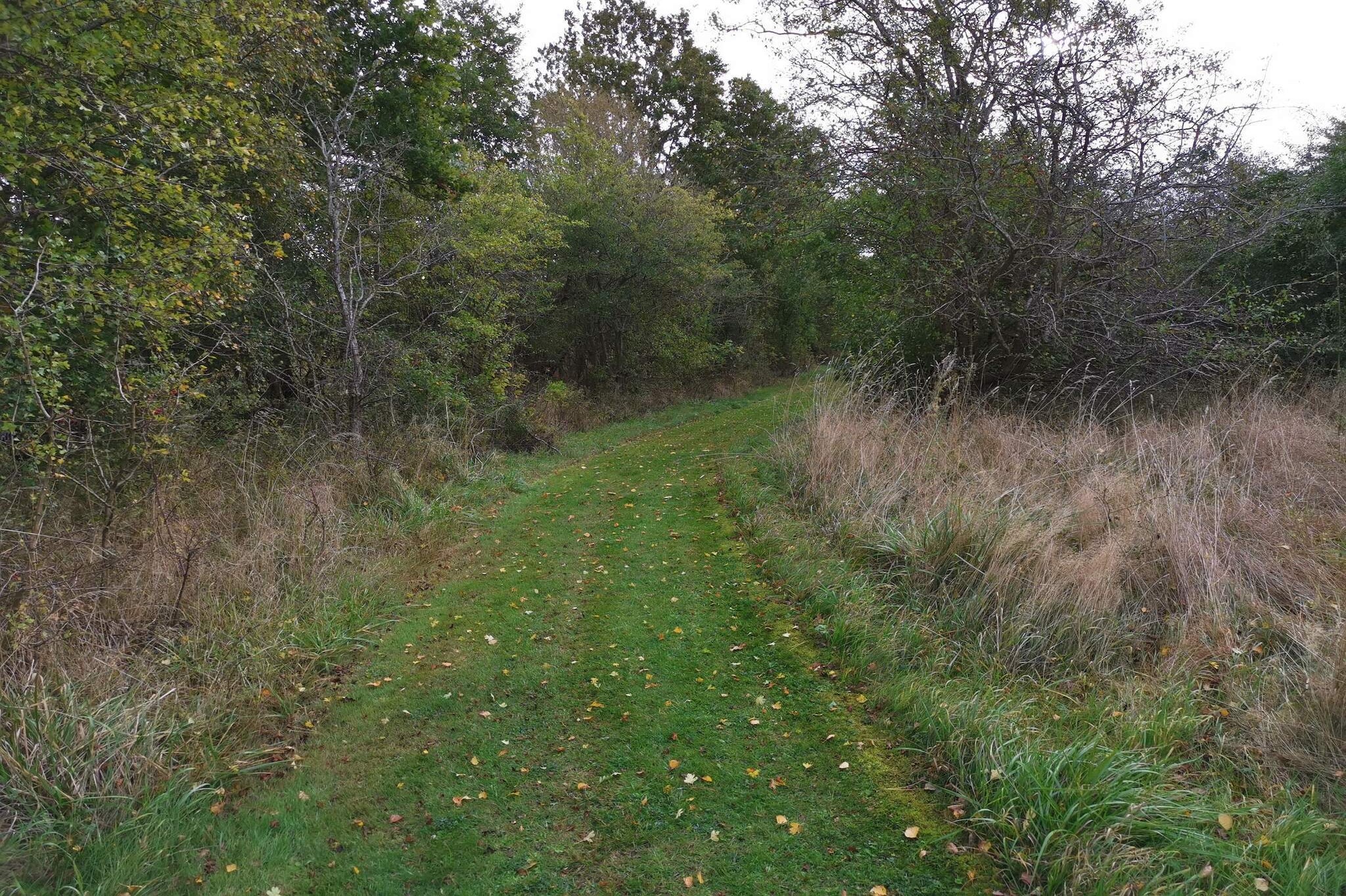 Kustretreat in Lolland -- By Traum Ferienwohnungen-Niet-getagd