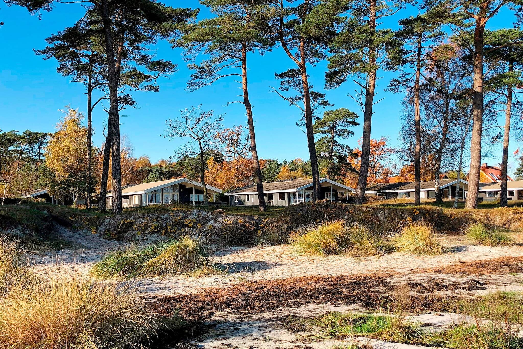 Beachfront Bliss in Snogebaek - By Traum Ferienwohnungen