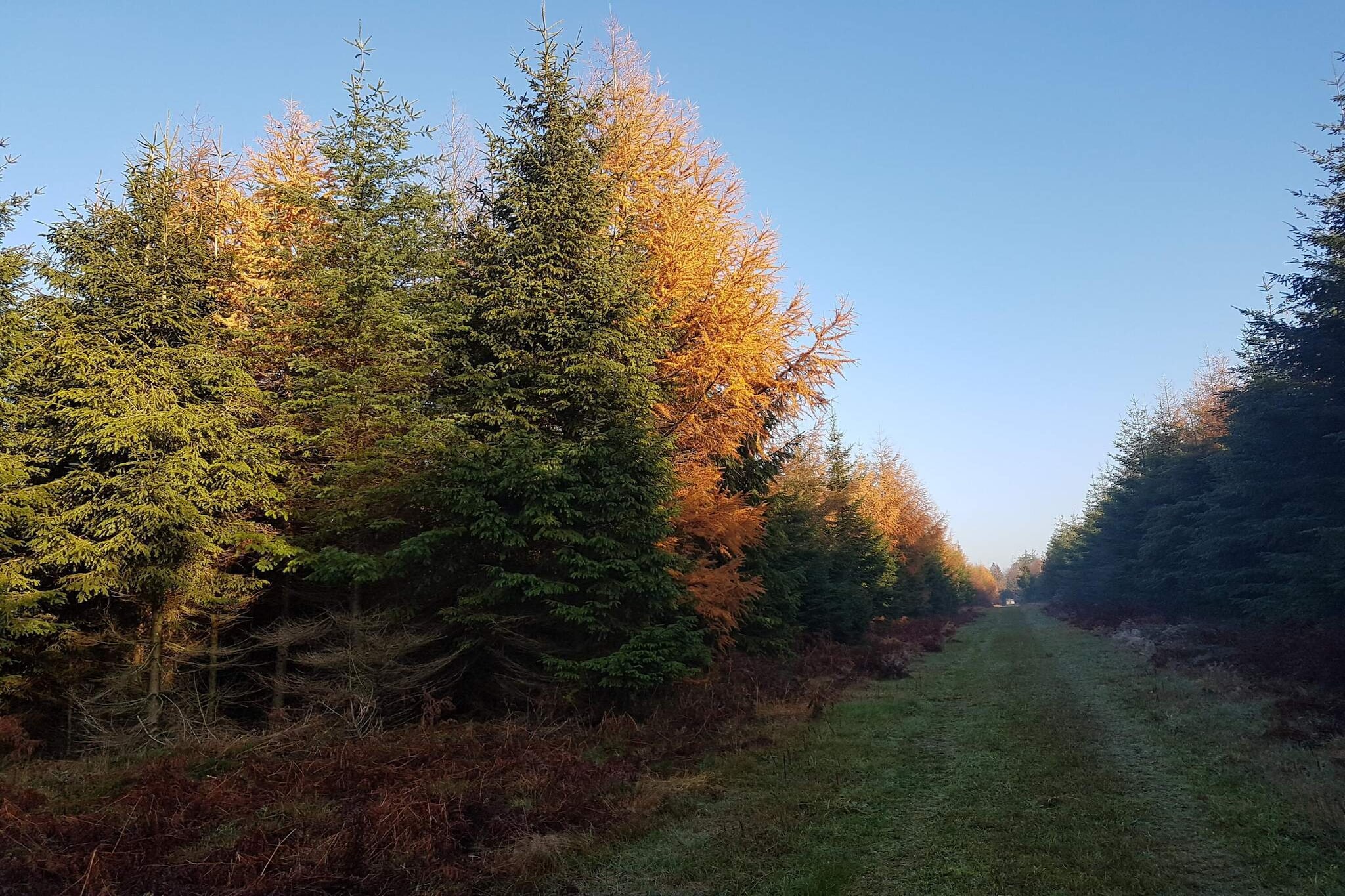 6 person holiday home in Toftlund-By Traum-Untagged