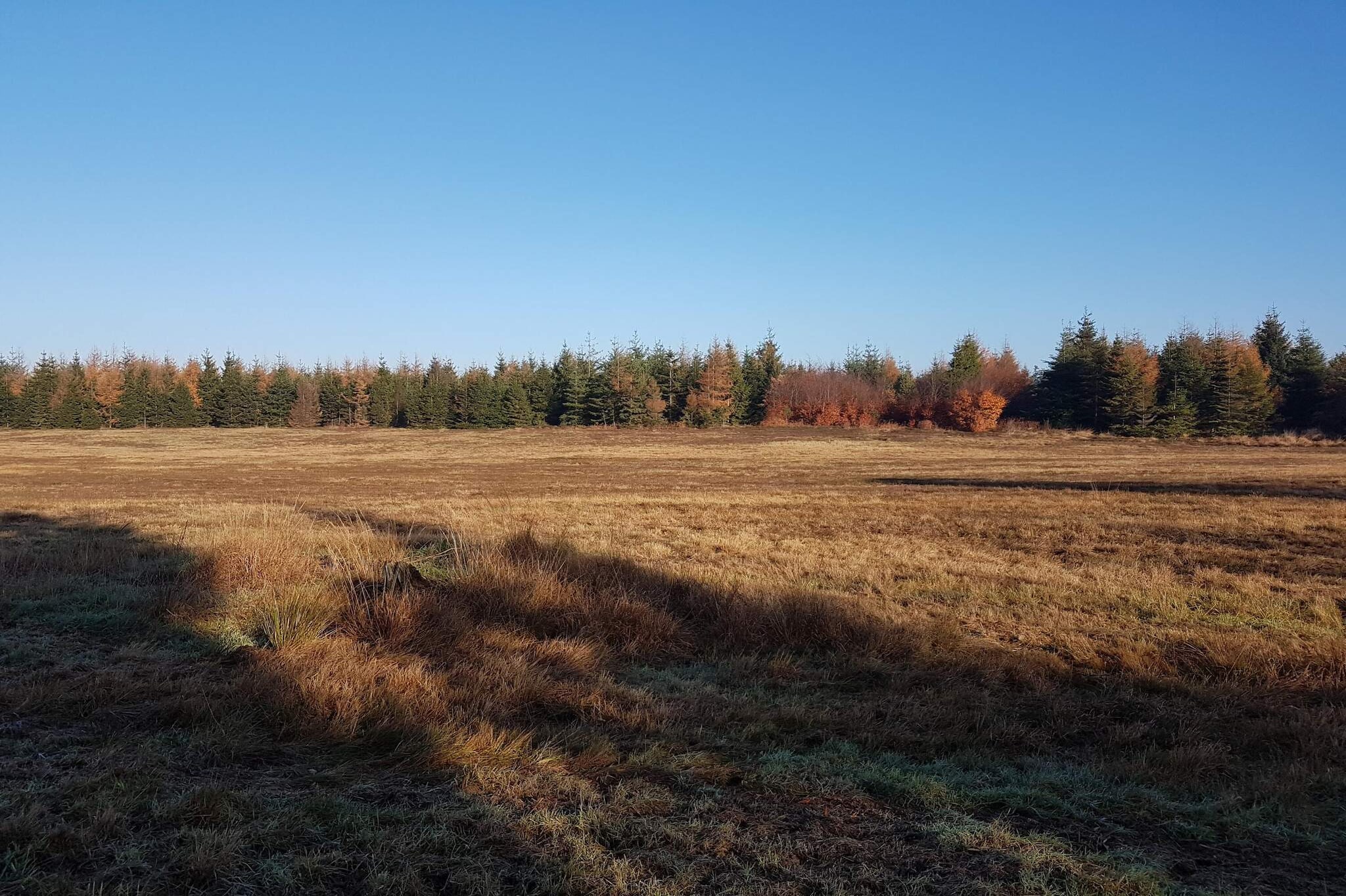 6 person holiday home in Toftlund-By Traum-Untagged