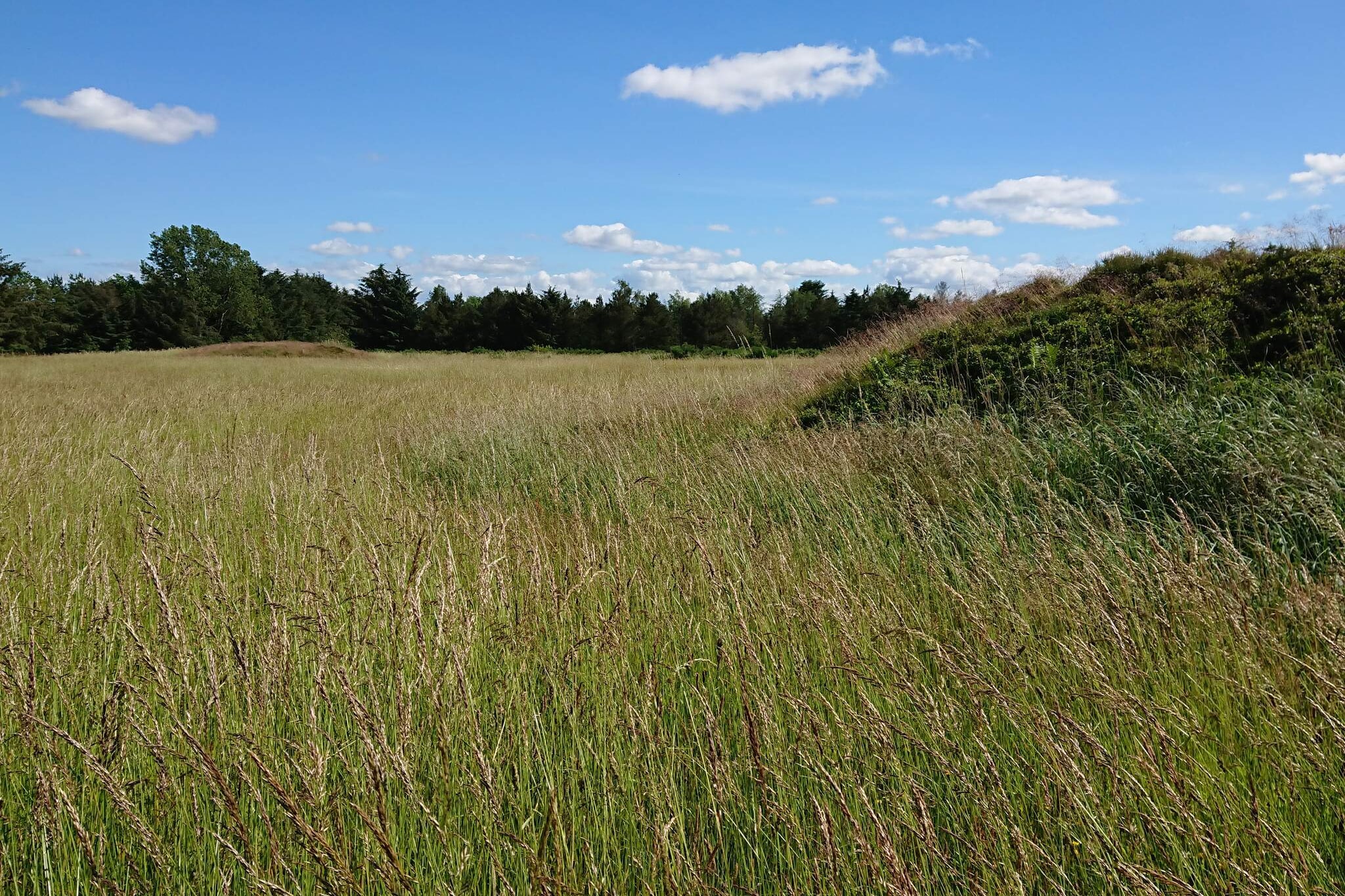 6 persoons vakantie huis in Højslev-By Traum-Niet-getagd