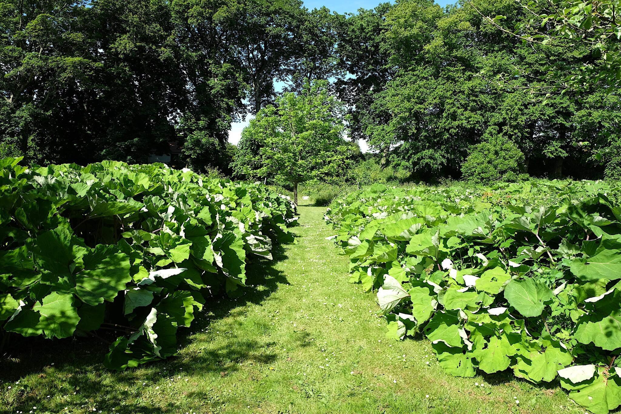 6 persoons vakantie huis in Højslev-By Traum-Niet-getagd