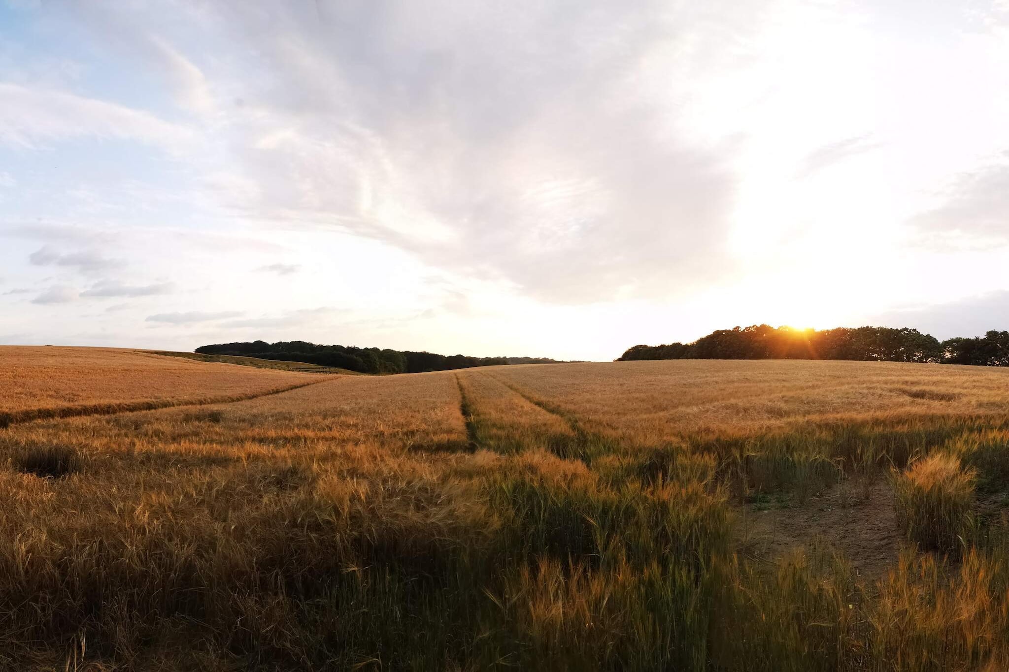 4 persoons vakantie huis in Hejls-By Traum