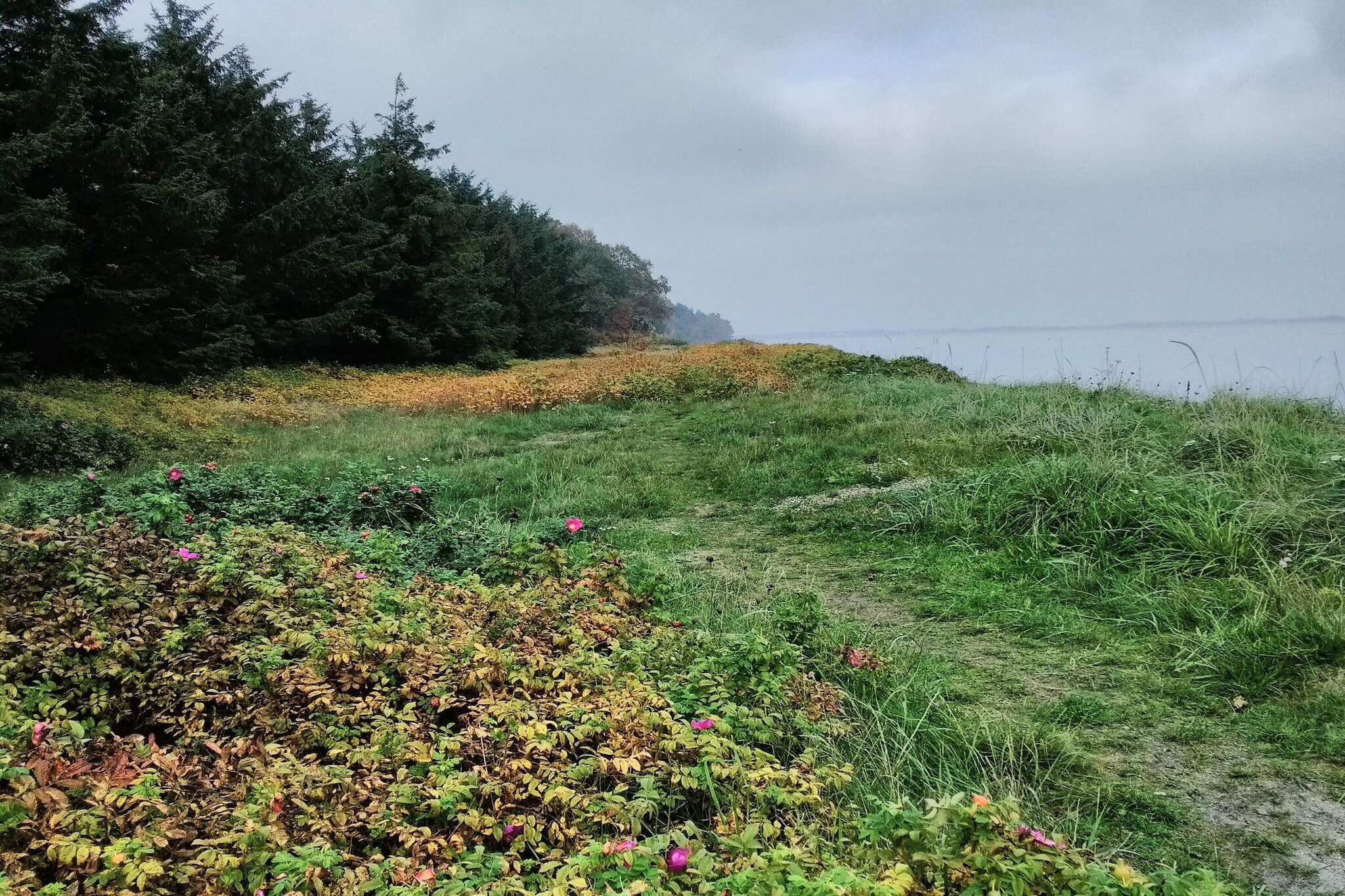 8 persoons vakantie huis in Thyholm-By Traum-Niet-getagd