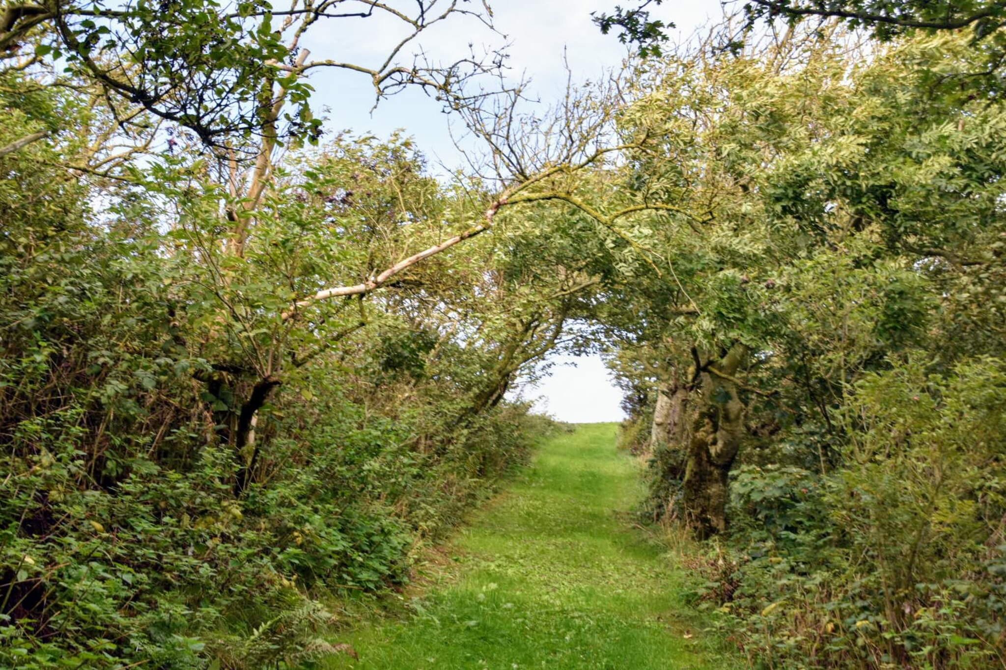 8 persoons vakantie huis in Thyholm-By Traum-Niet-getagd