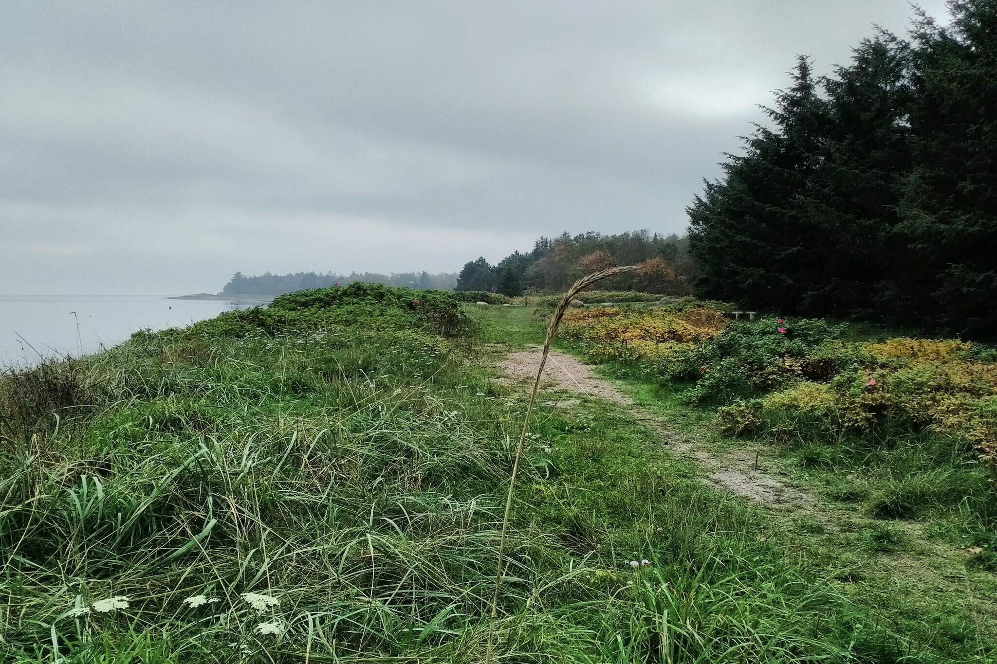 8 persoons vakantie huis in Thyholm-By Traum-Niet-getagd