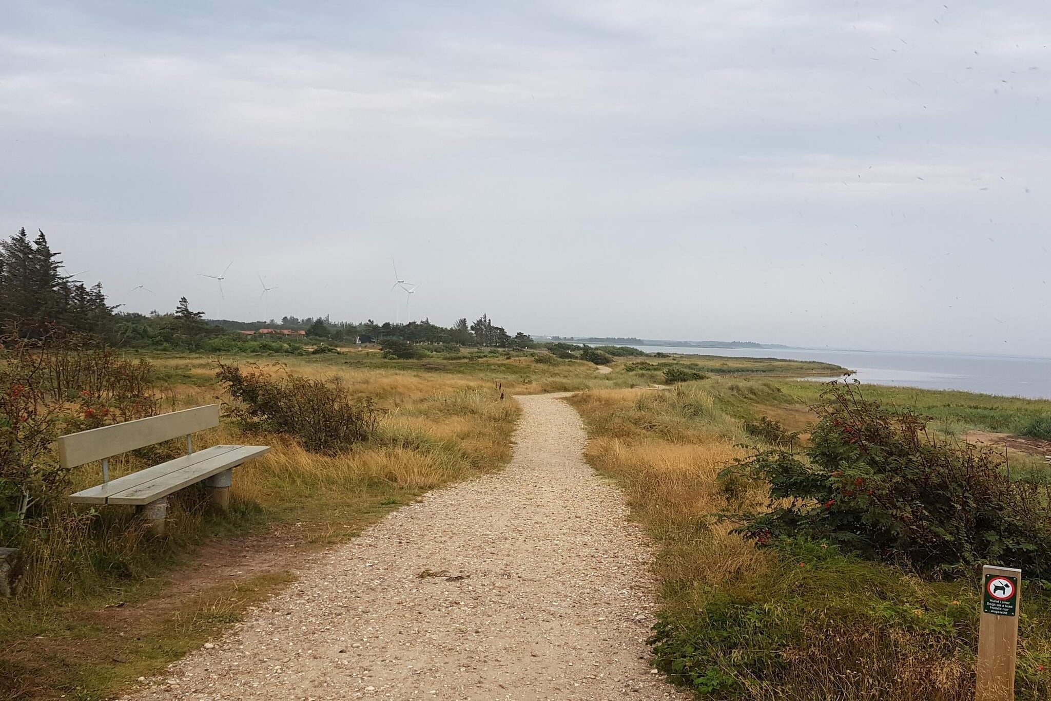 6 persoons vakantie huis in Tarm-By Traum