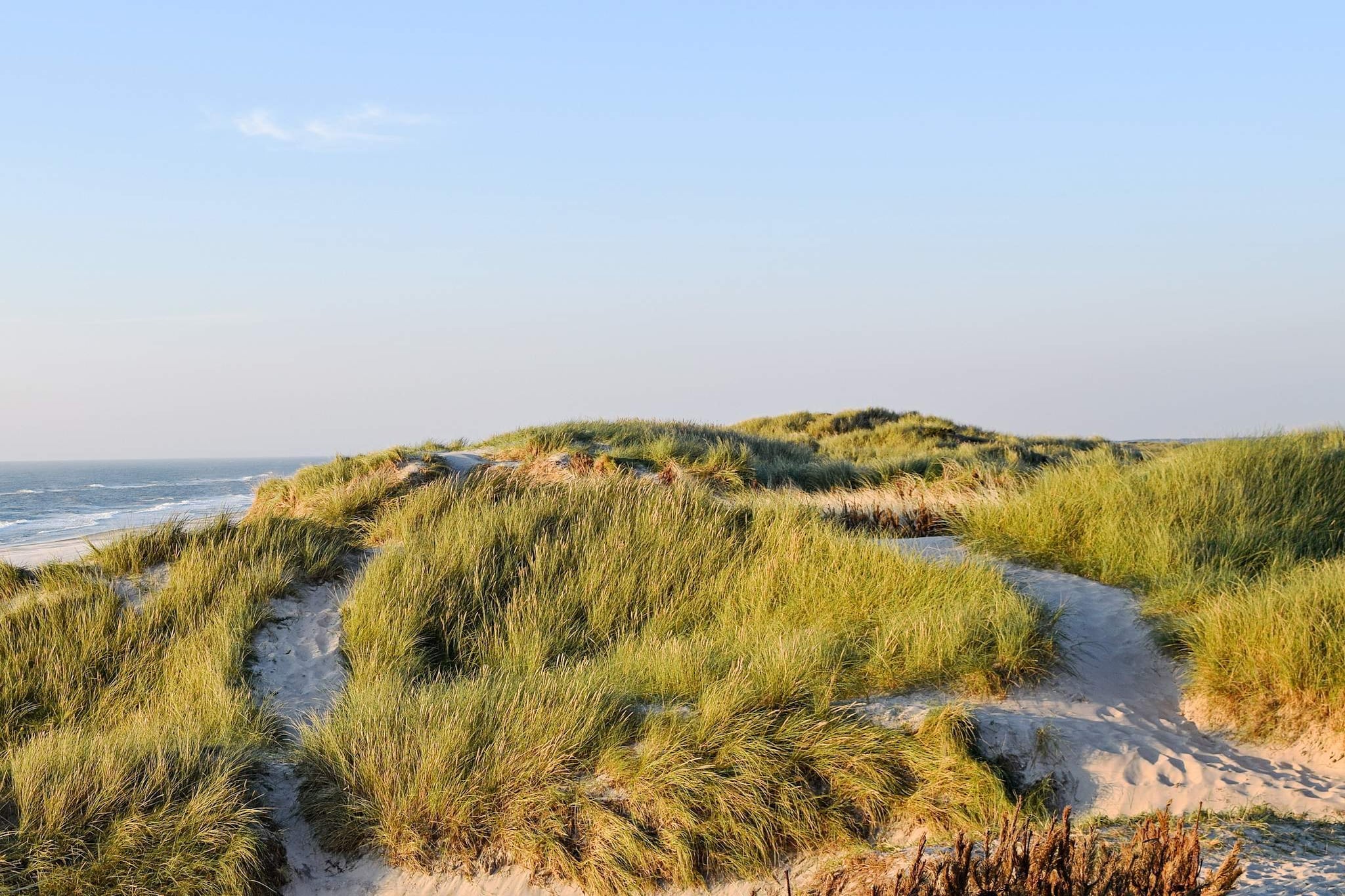 6 persoons vakantie huis in Hvide Sande-By Traum - Uitzicht