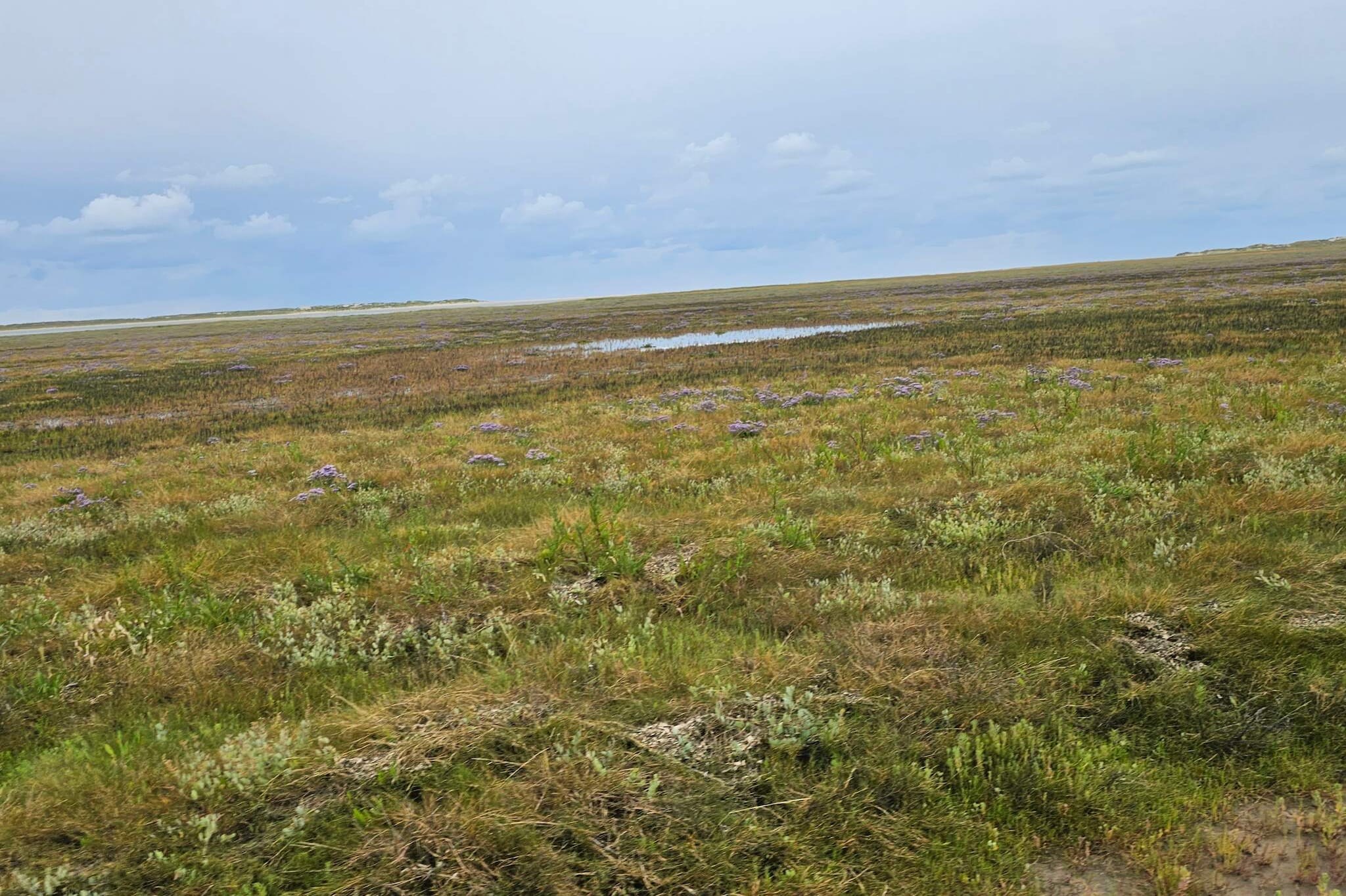 Kustparadijs in Vadehavet -- By Traum Ferienwohnungen