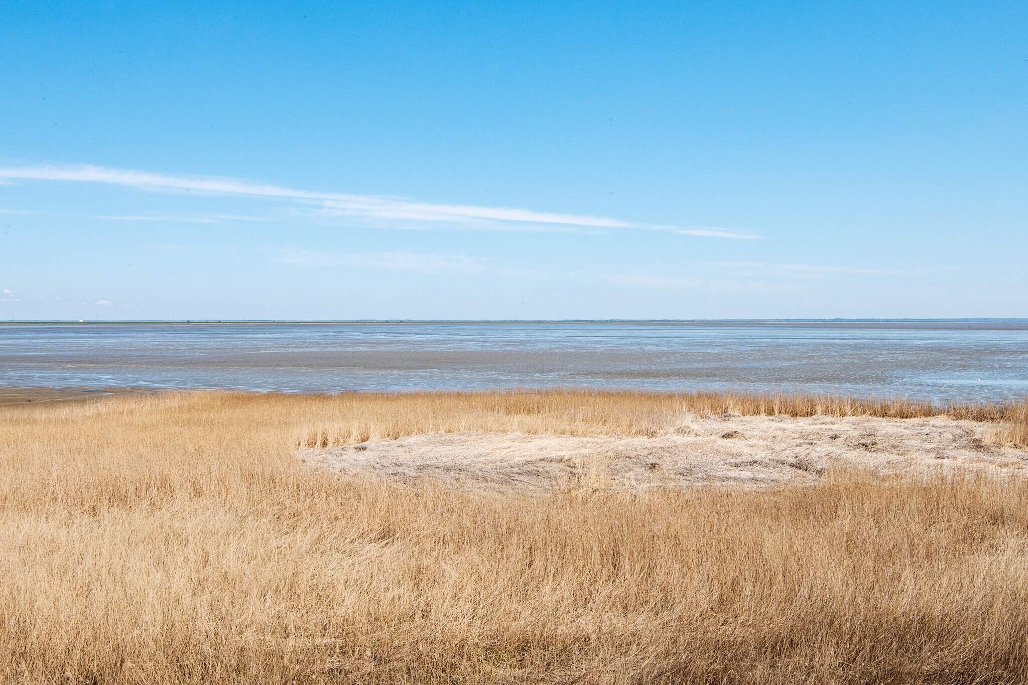 Seaside Haven in Vadehavet - Wasserblick
