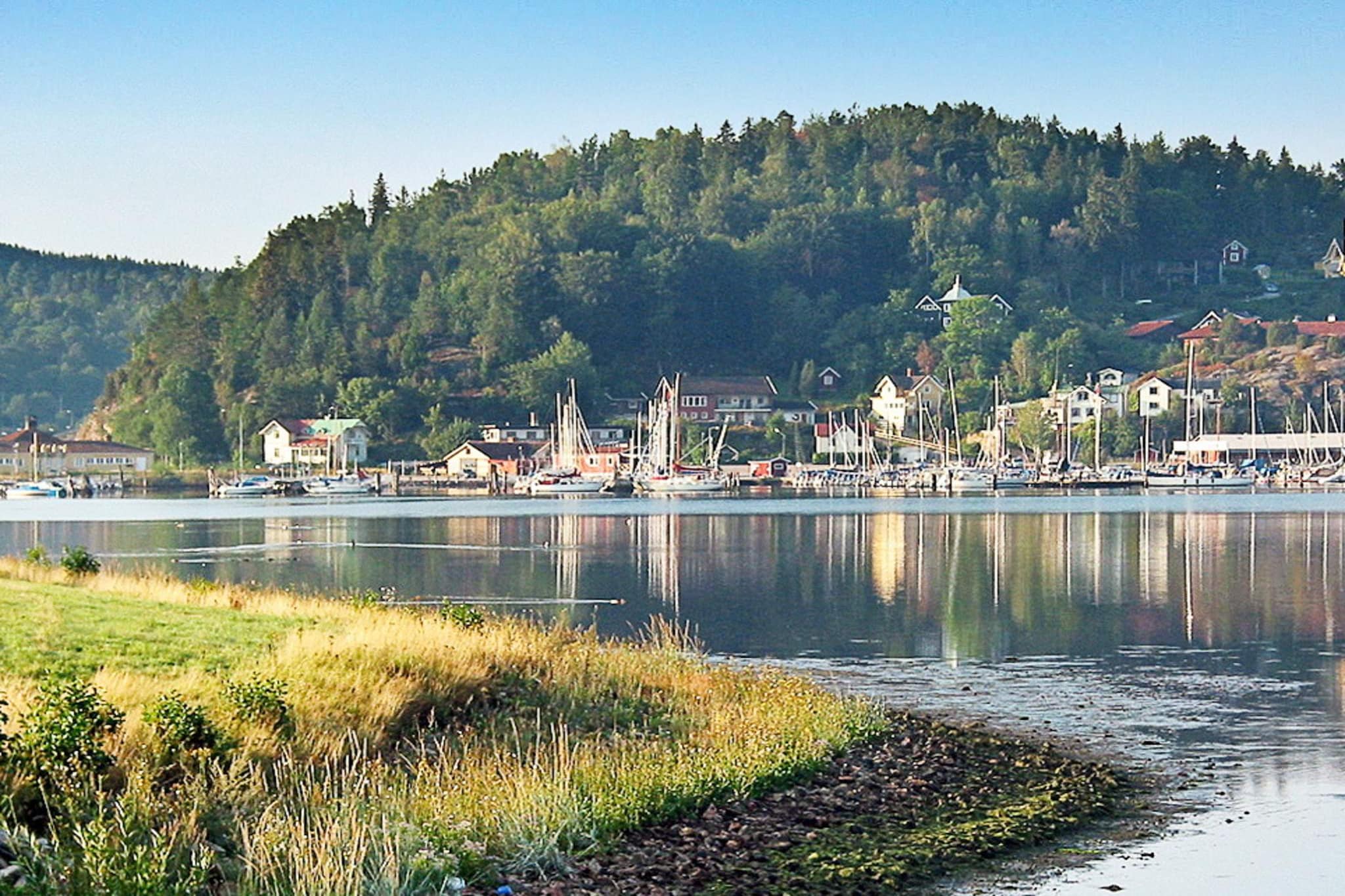 Untagged