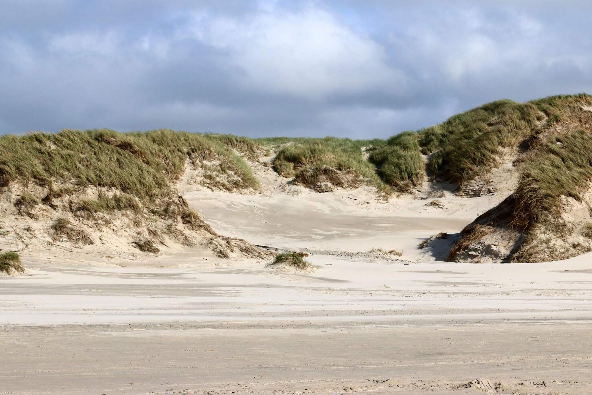 7 persoons vakantie huis in Henne-By Traum-Niet-getagd