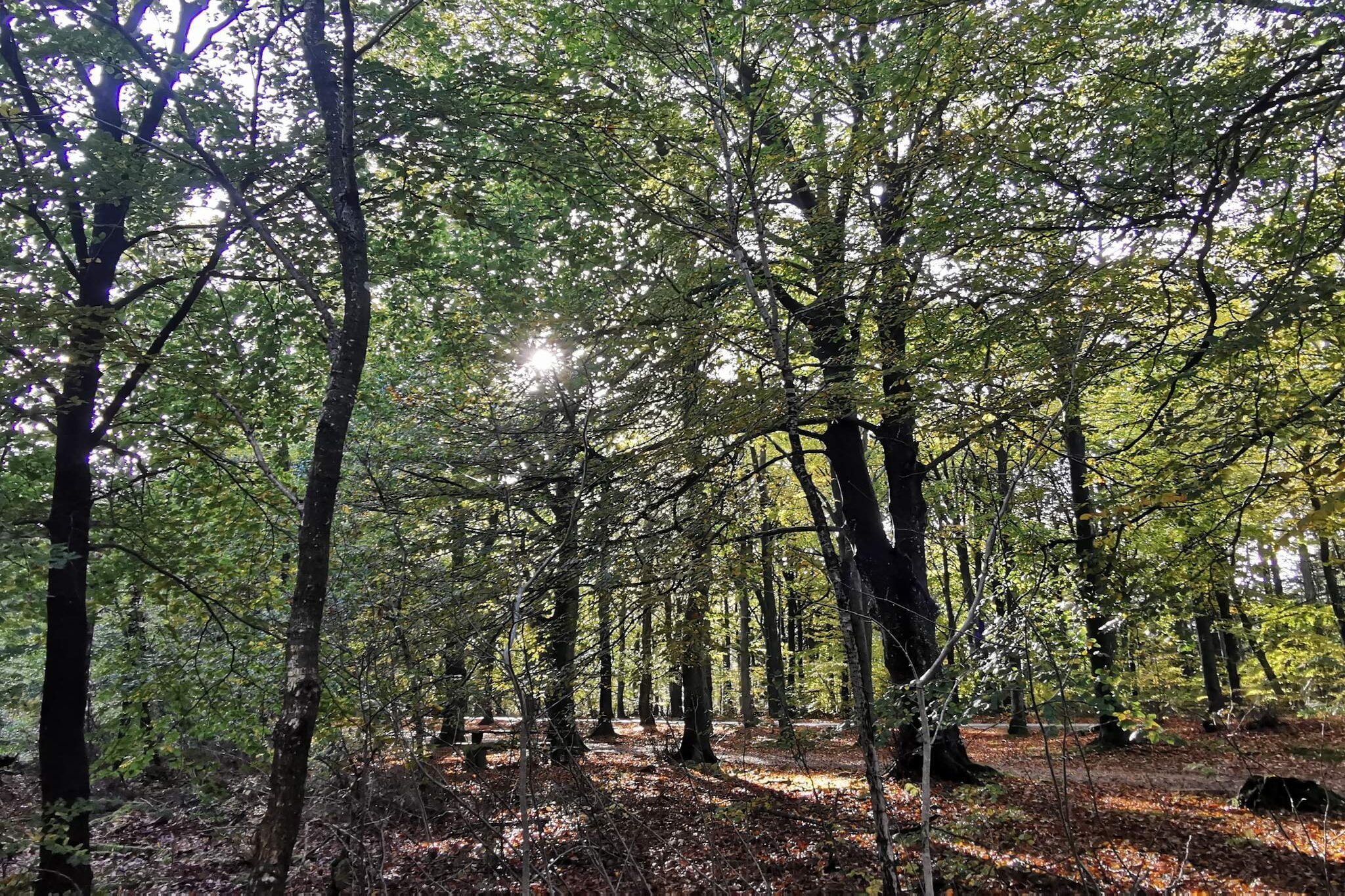 7 persoons vakantie huis in Henne-By Traum-Niet-getagd