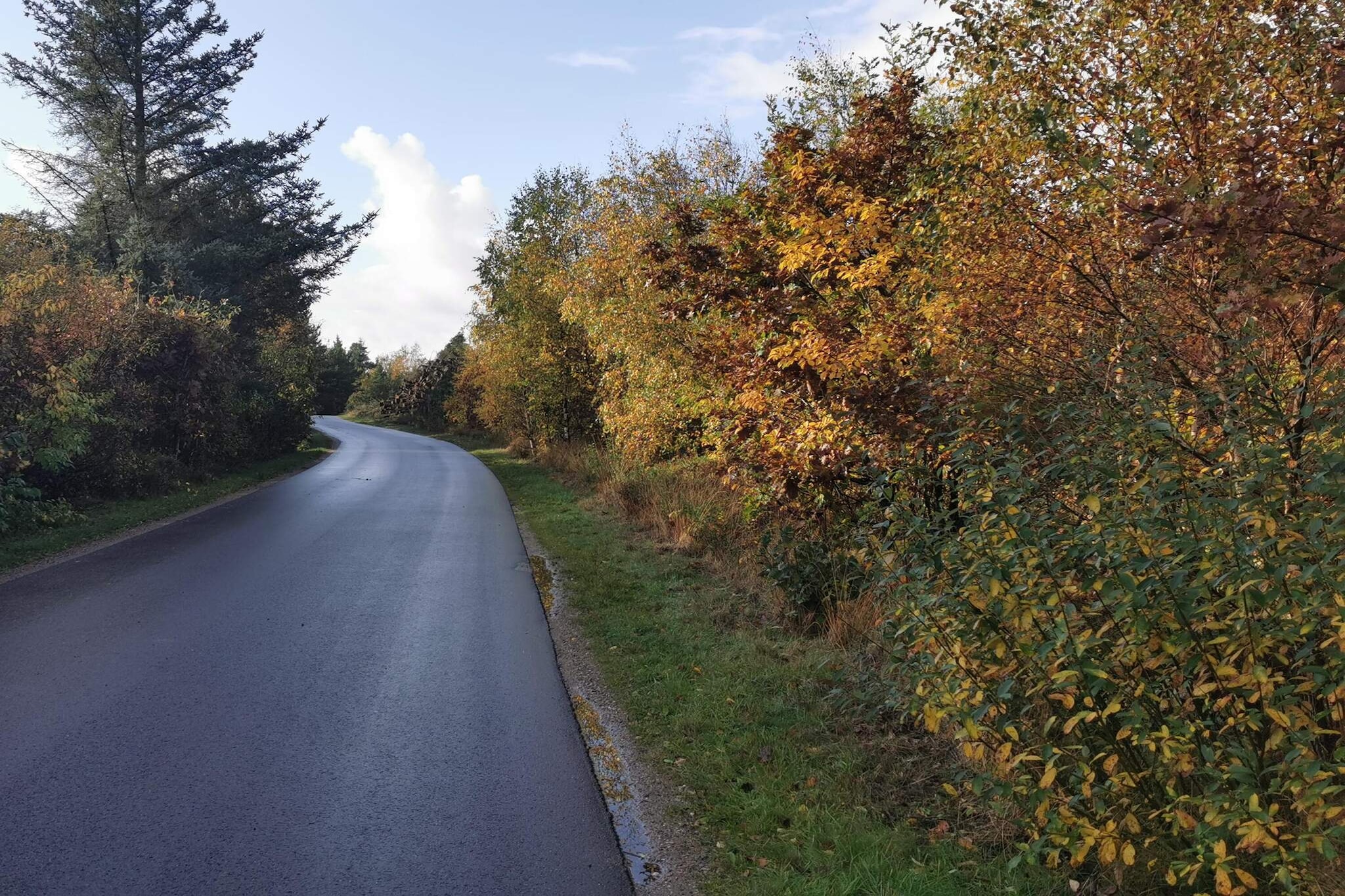 7 persoons vakantie huis in Henne-By Traum-Niet-getagd