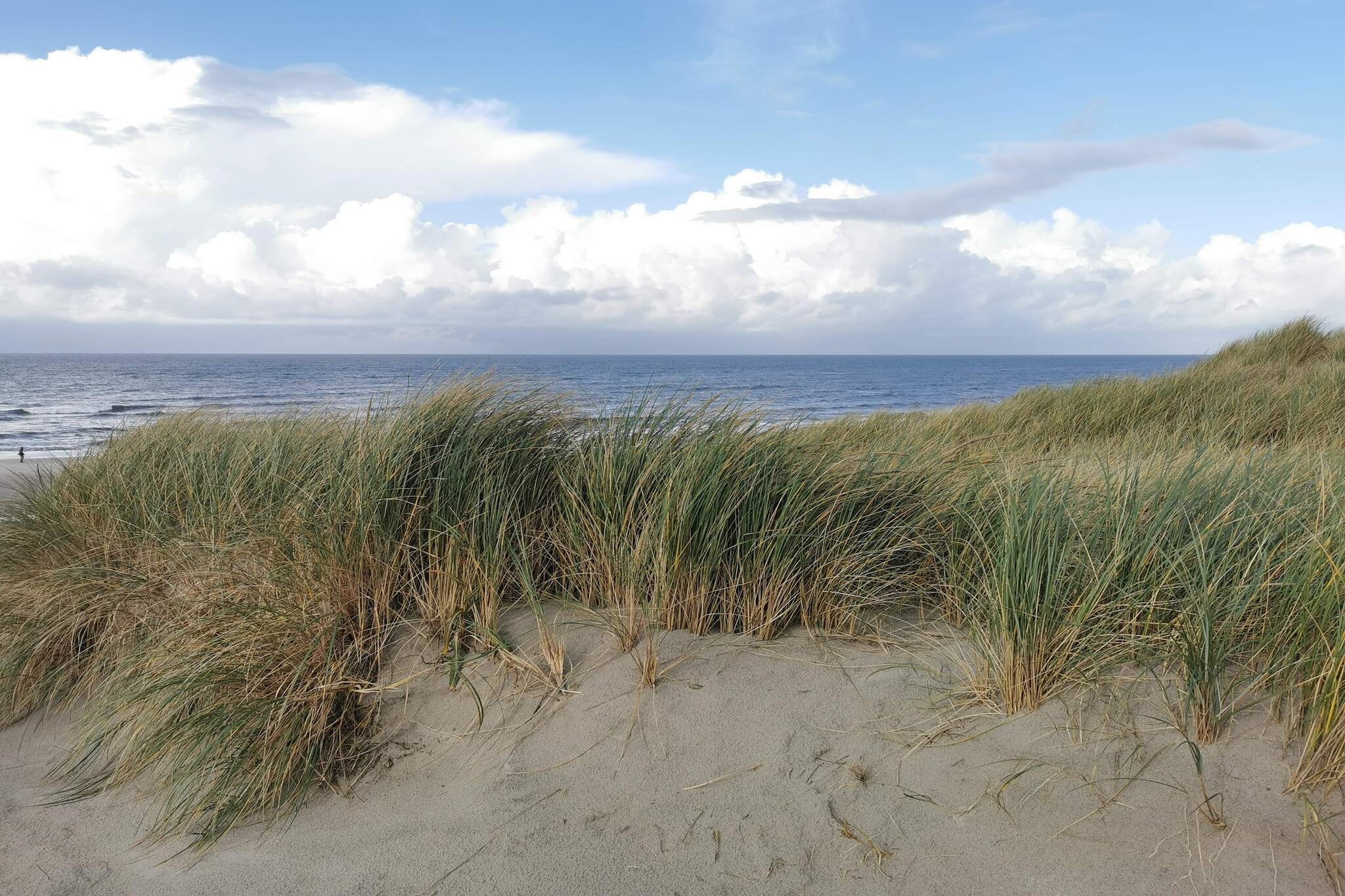 7 persoons vakantie huis in Henne-By Traum-Niet-getagd