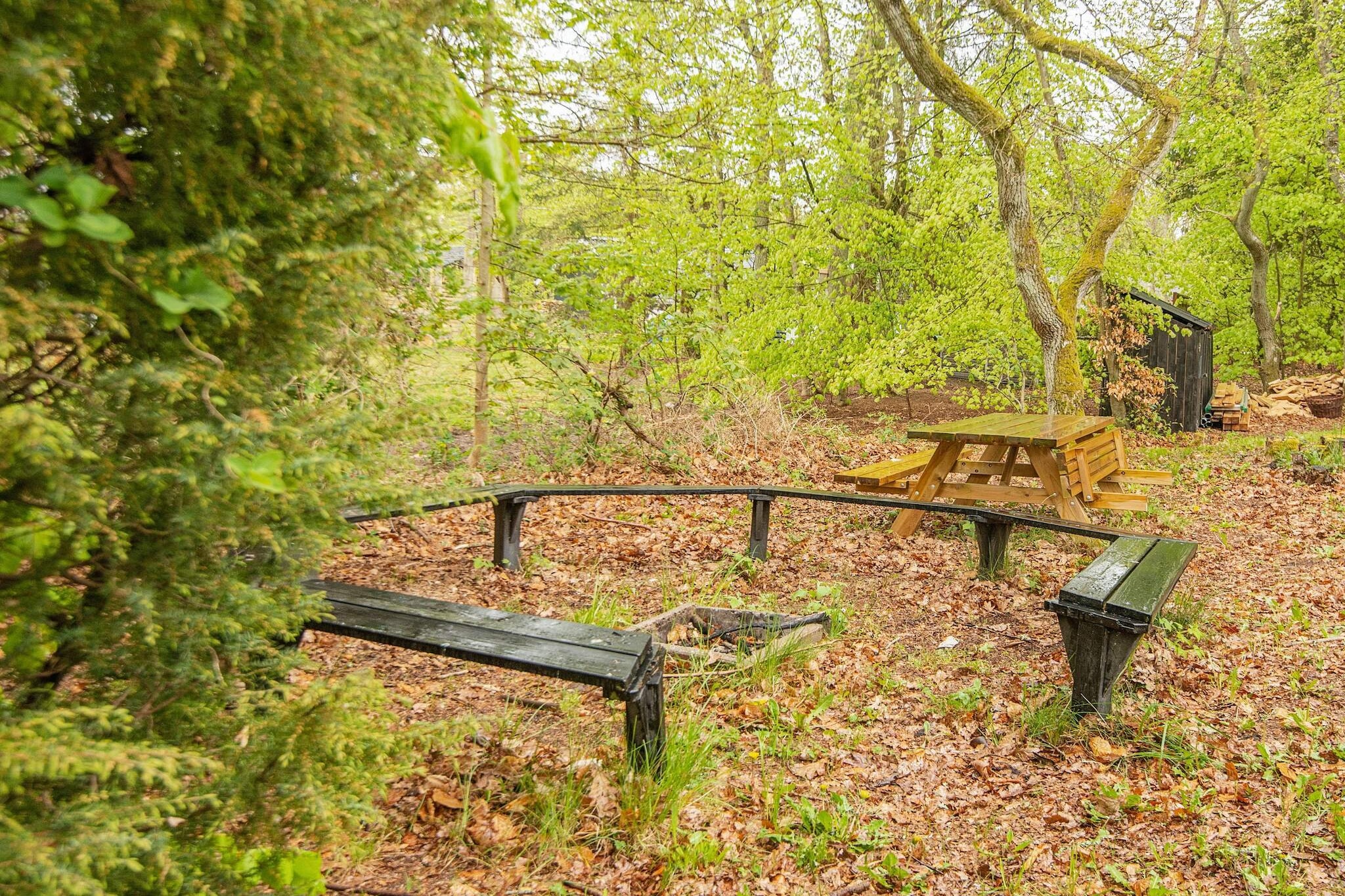 Luxe toevluchtsoord aan het bos - Uitzicht