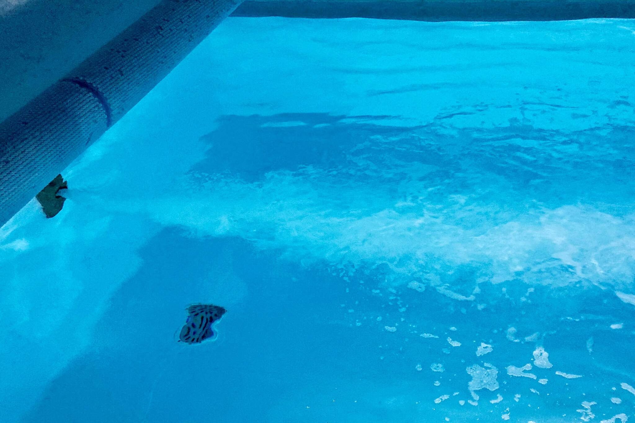 Maison de vacances pour 12 a Ringkøbing-By Traum - Piscine