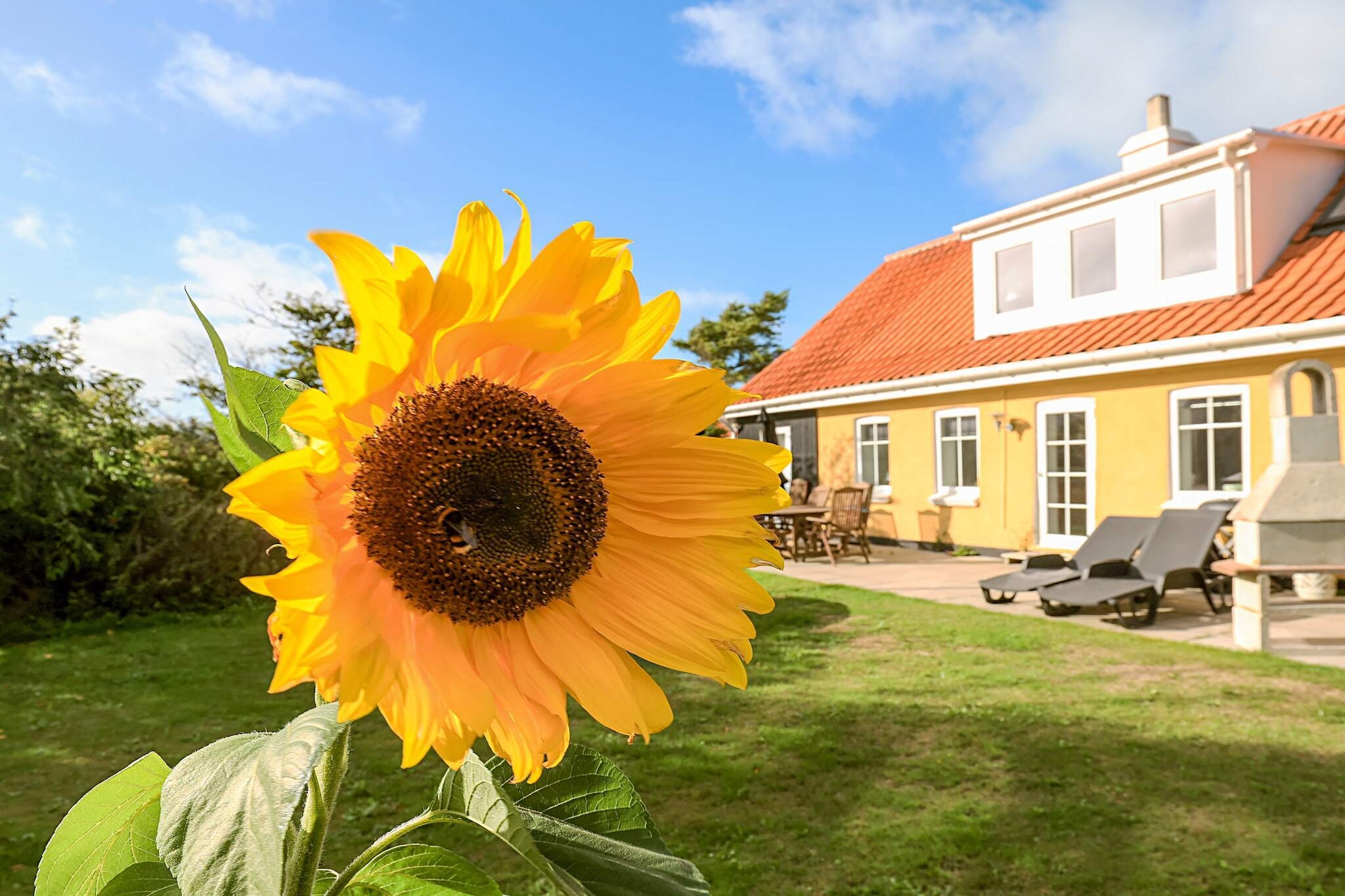 8 persoons vakantie huis in Løkken-By Traum - Uitzicht