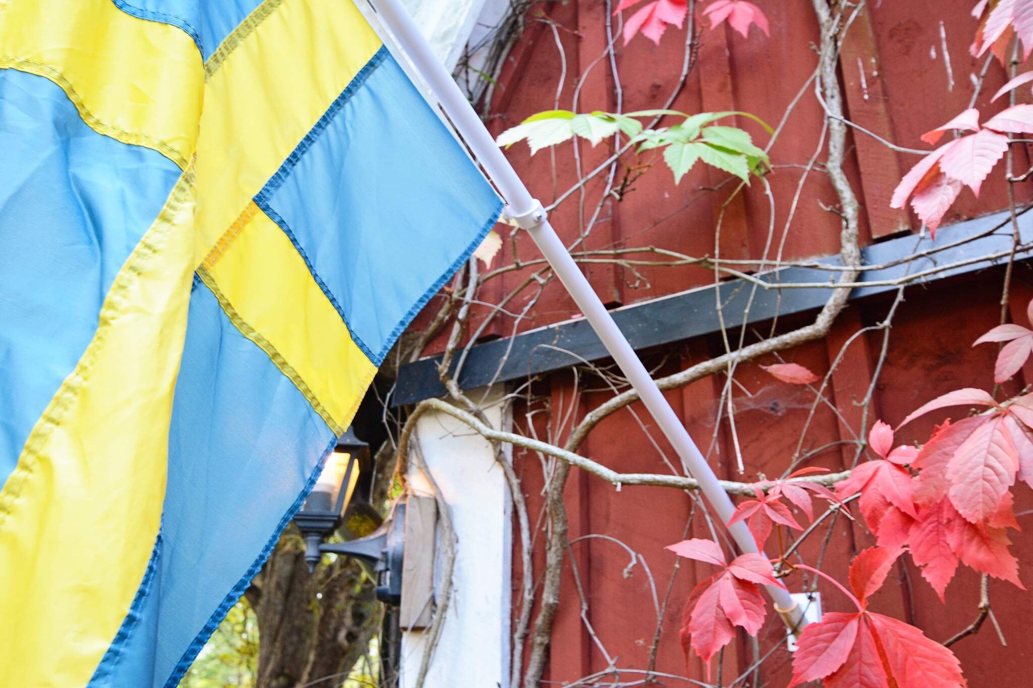 4 persoons vakantie huis in HALLABRO-By Traum - Niet-getagd