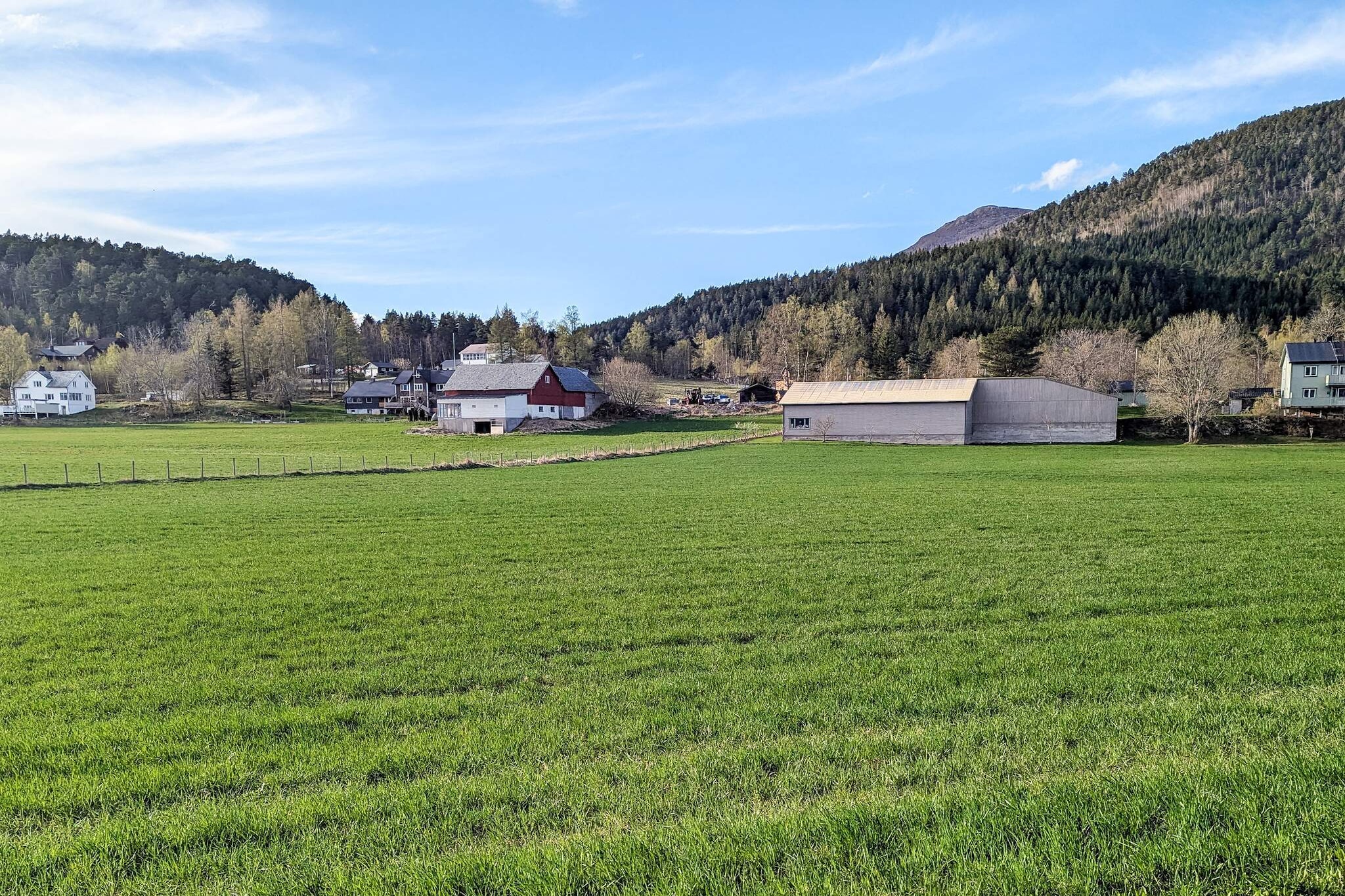 29672-FEDHEIM - Buitenlucht