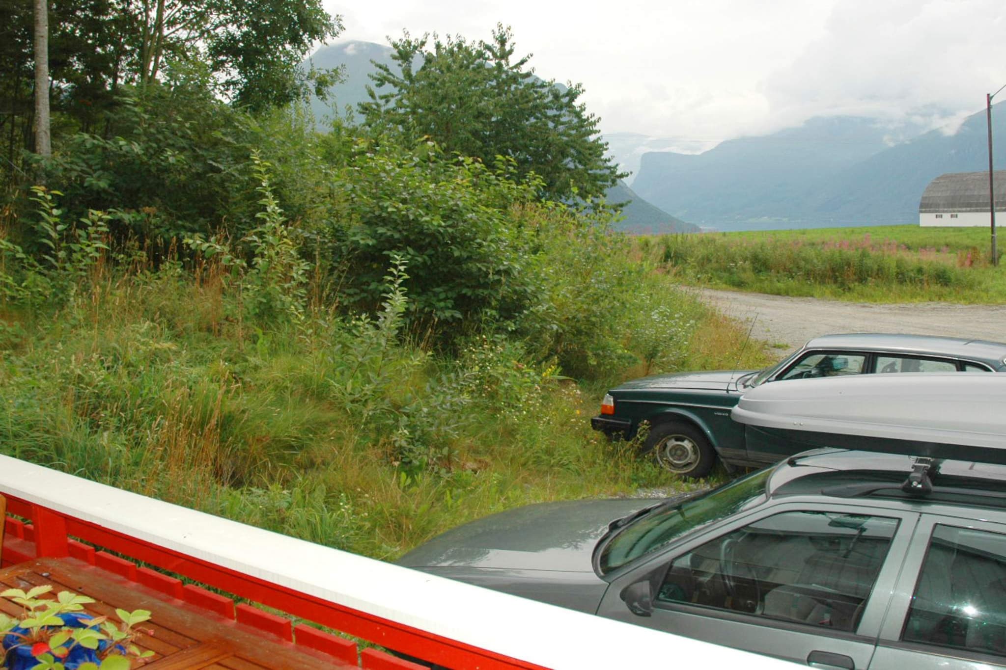 29672-FEDHEIM