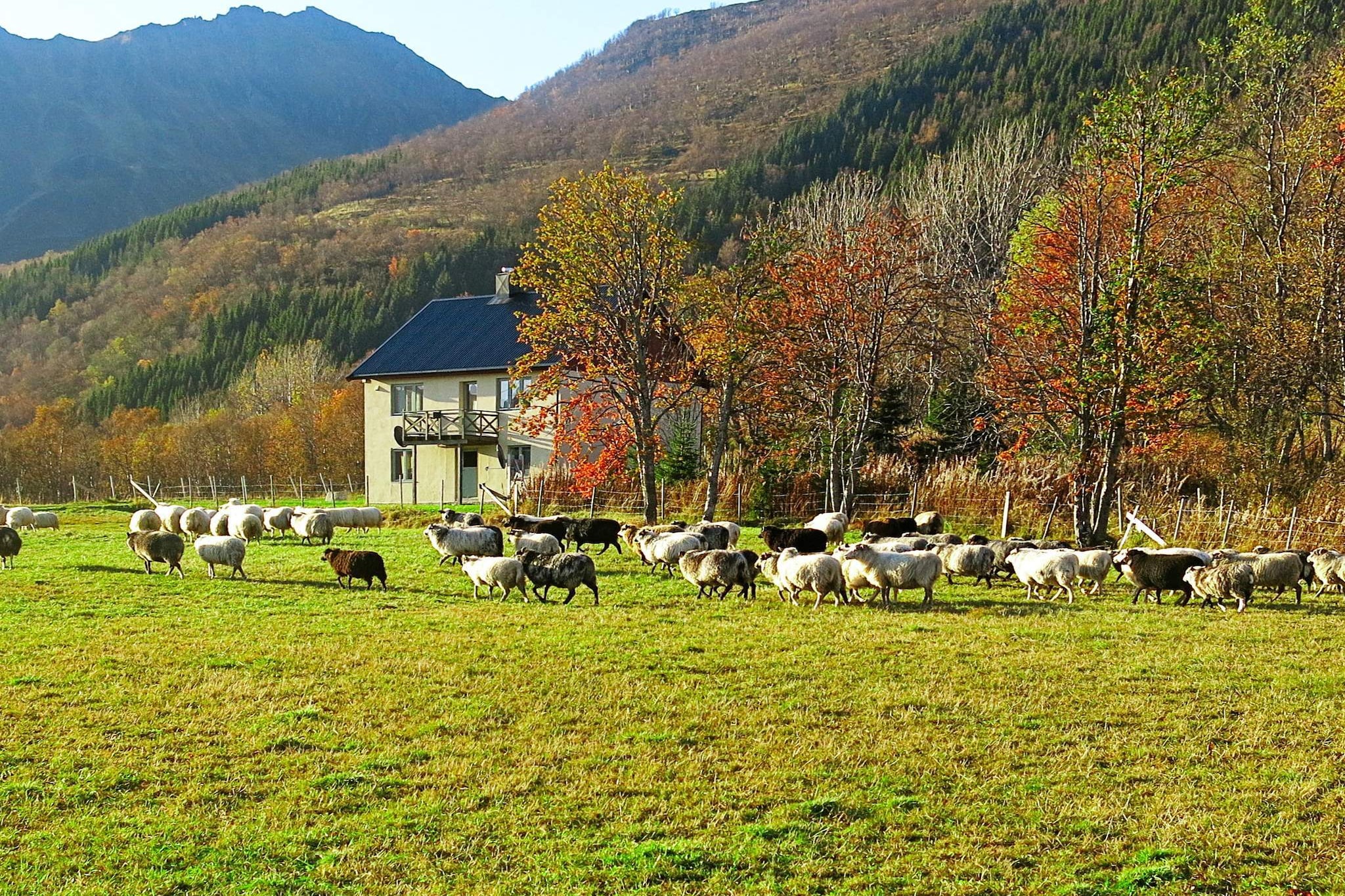 6 persoons vakantie huis in ALSVÅG-By Traum - Niet-getagd