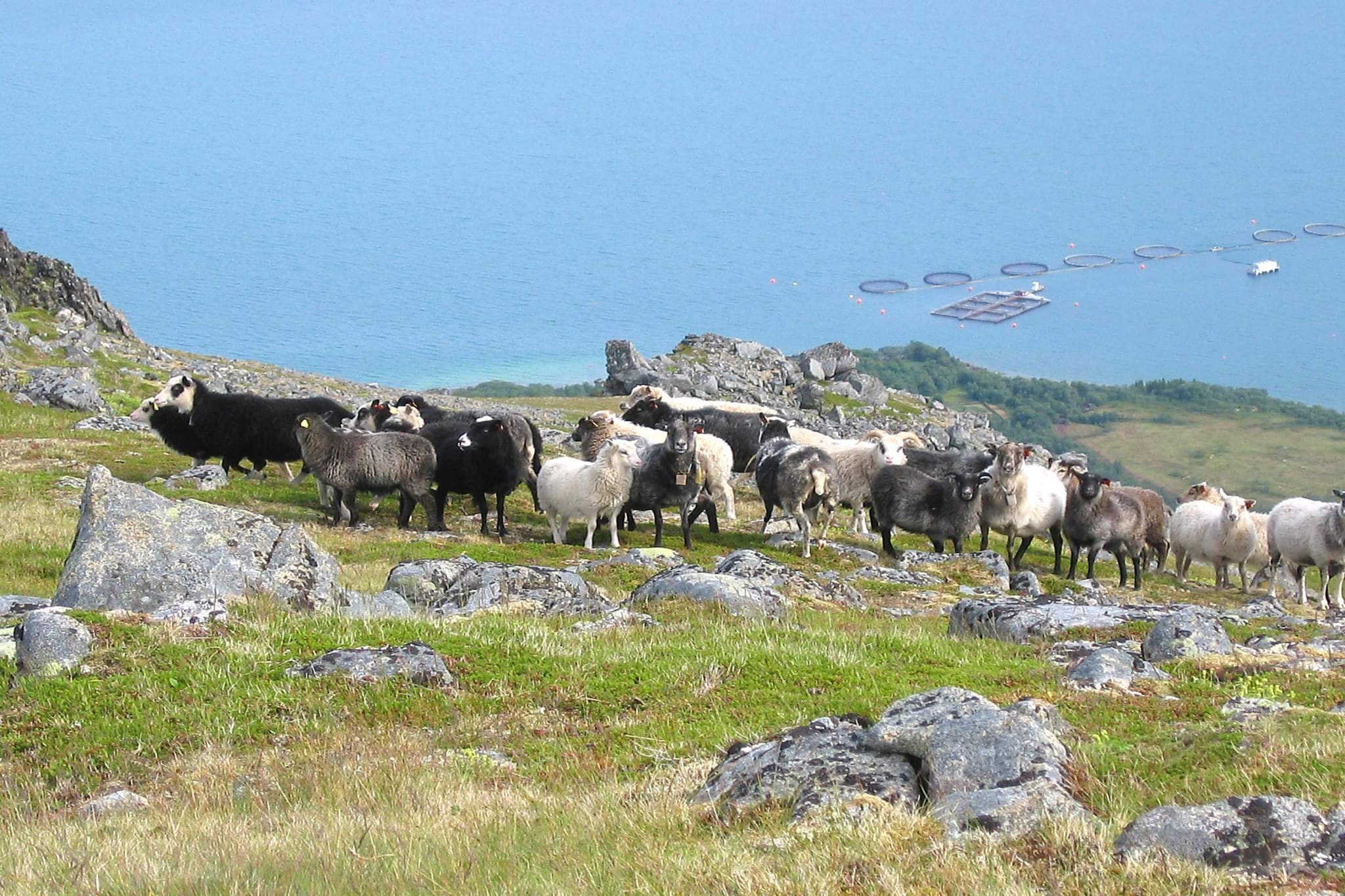 6 persoons vakantie huis in ALSVÅG-By Traum - Uitzicht