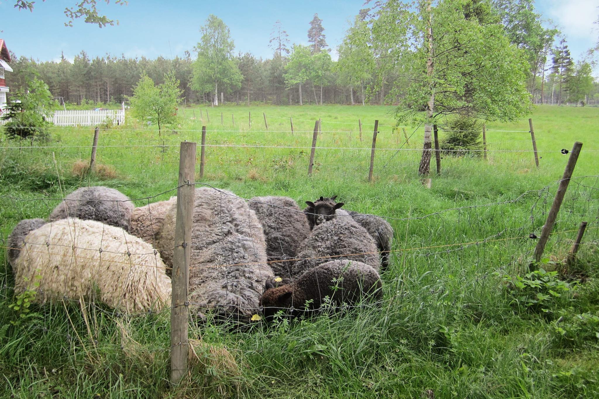 5 persoons vakantie huis in JÖNKÖPING-By Traum - Niet-getagd