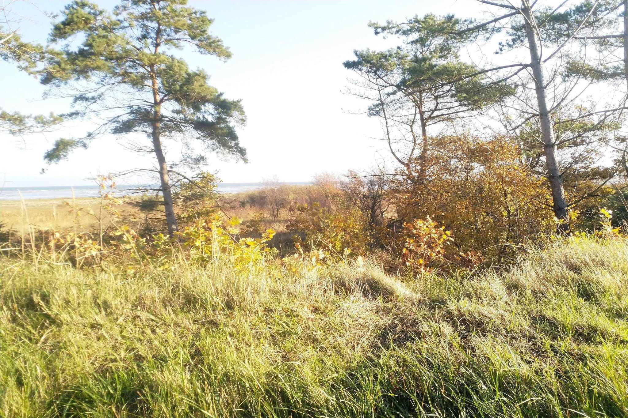 4 persoons vakantie huis in Hadsund-By Traum