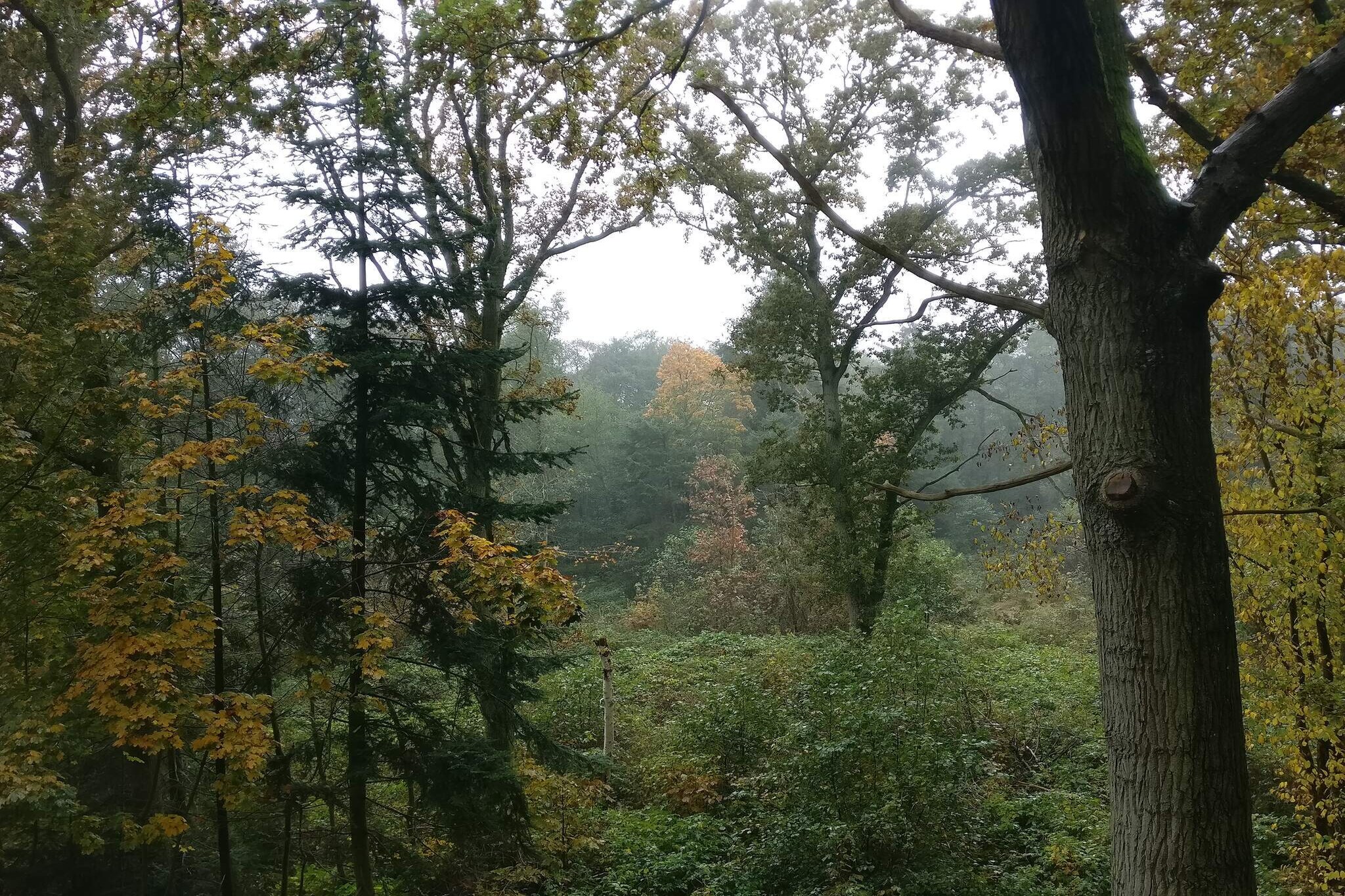 4 persoons vakantie huis in Hadsund-By Traum-Niet-getagd