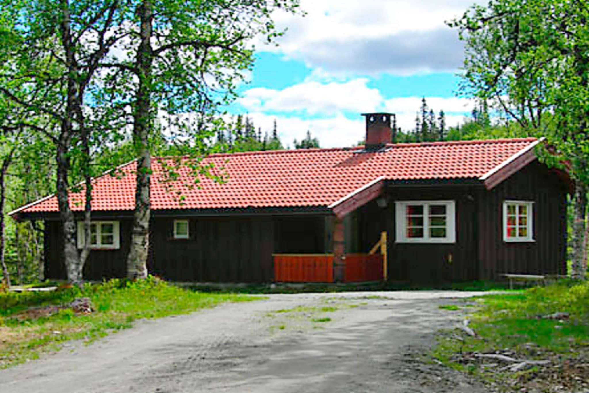 30017- FJELLSOL