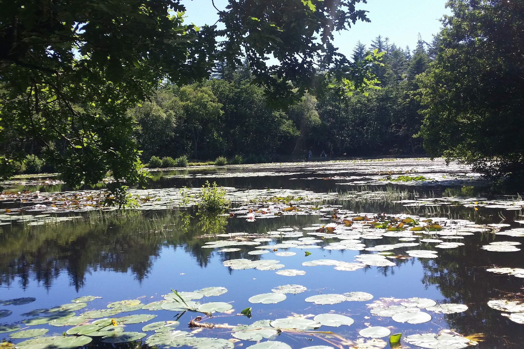 5 persoons vakantie huis in Skagen-By Traum-Waterzicht