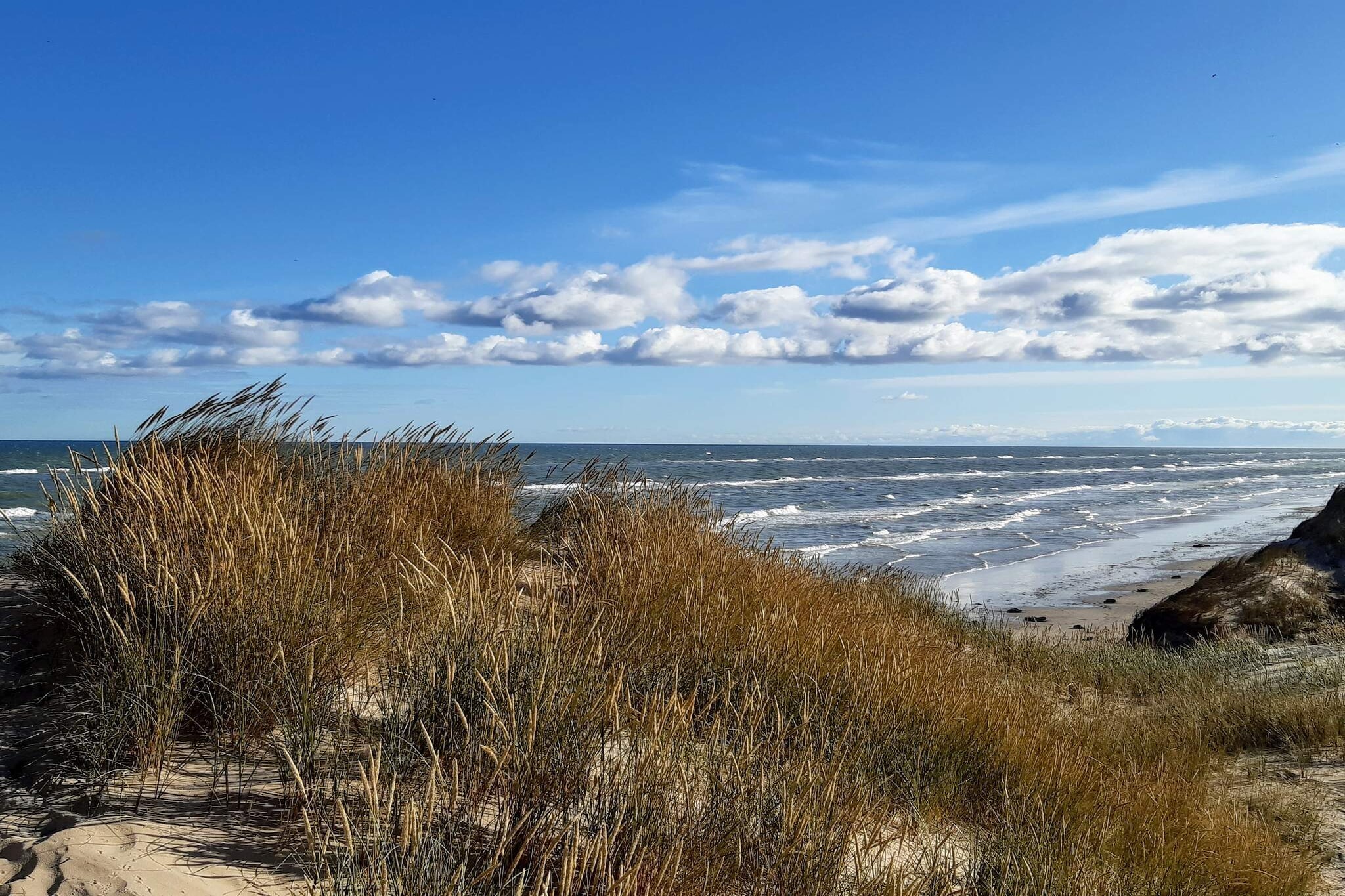 Maison de vacances pour 5 a Skagen-By Traum - Vue sur l'eau