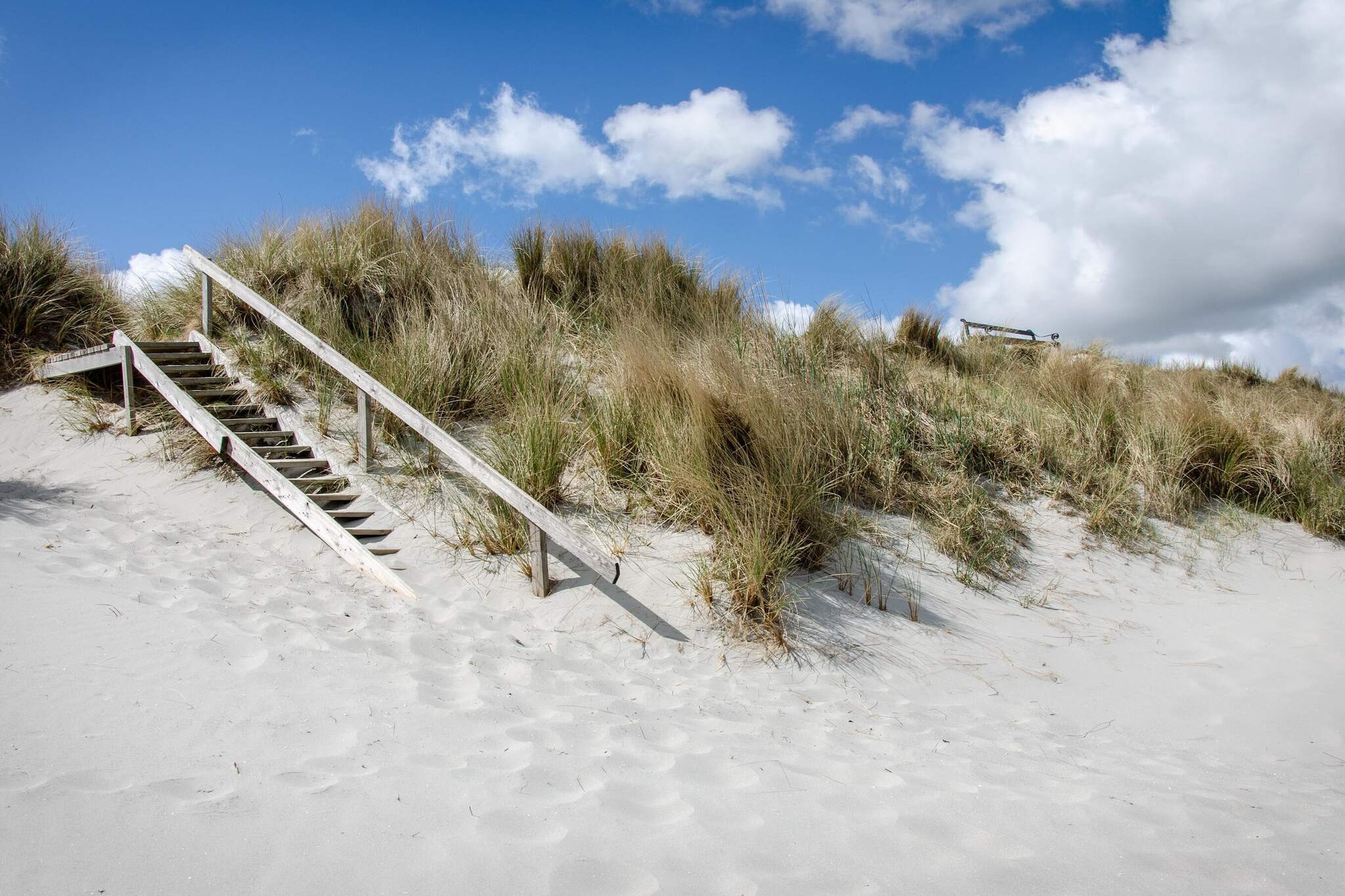 8 persoons vakantie huis in Ålbæk-By Traum - Niet-getagd