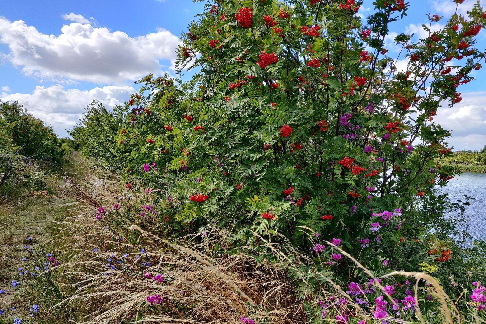 7 person holiday home in Stege-By Traum-Untagged