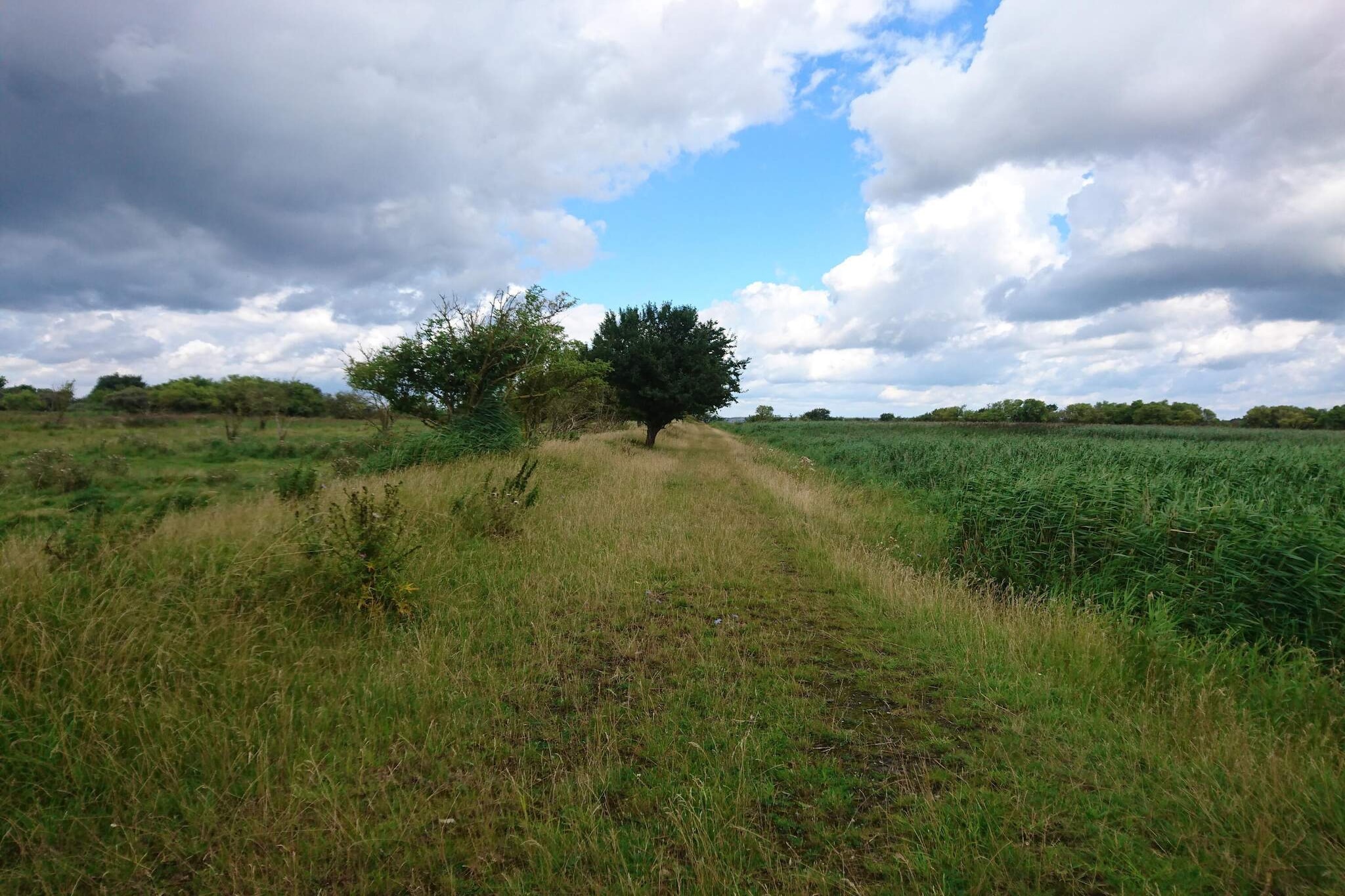 7 person holiday home in Stege-By Traum-Untagged