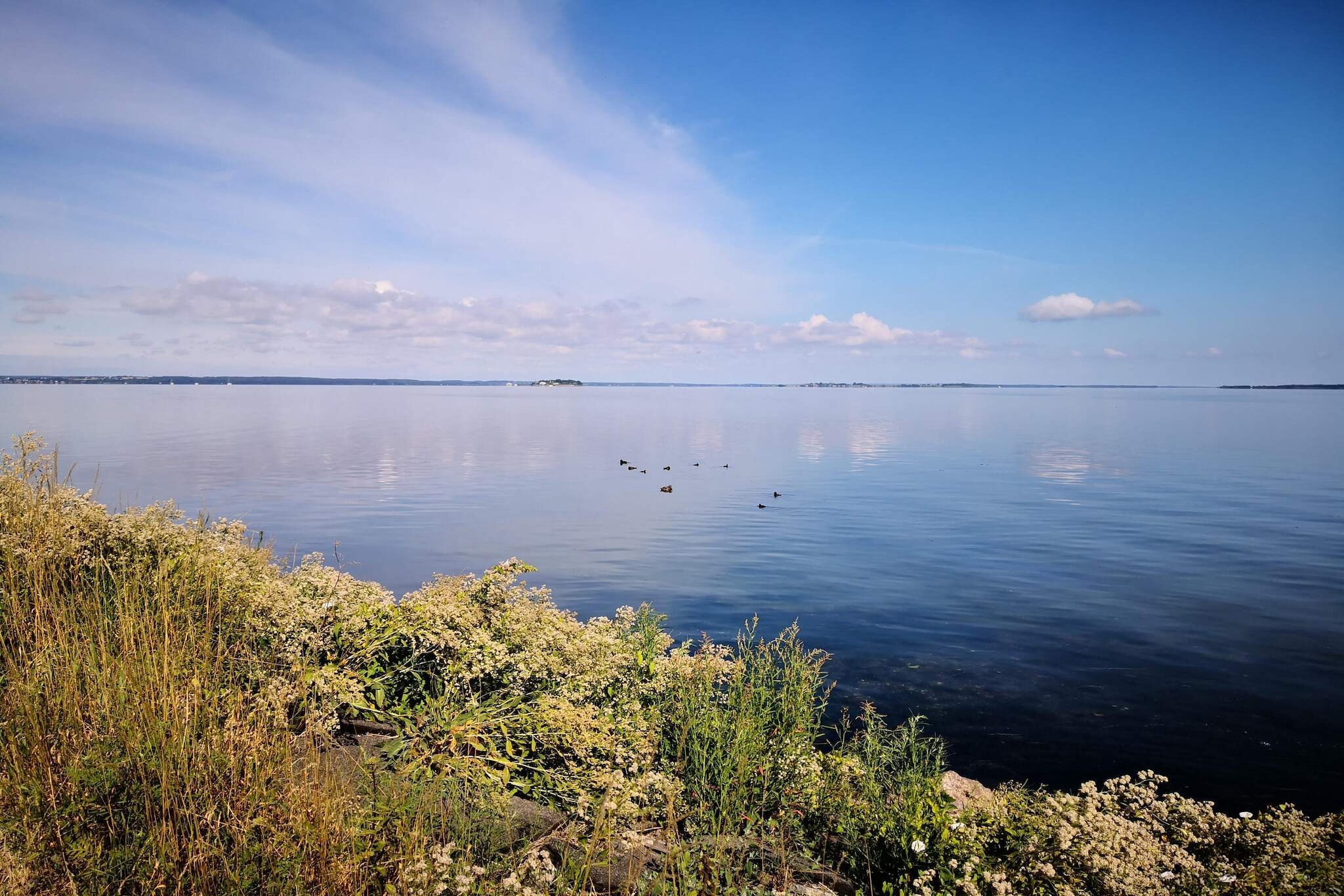 7 person holiday home in Stege-By Traum-Water view