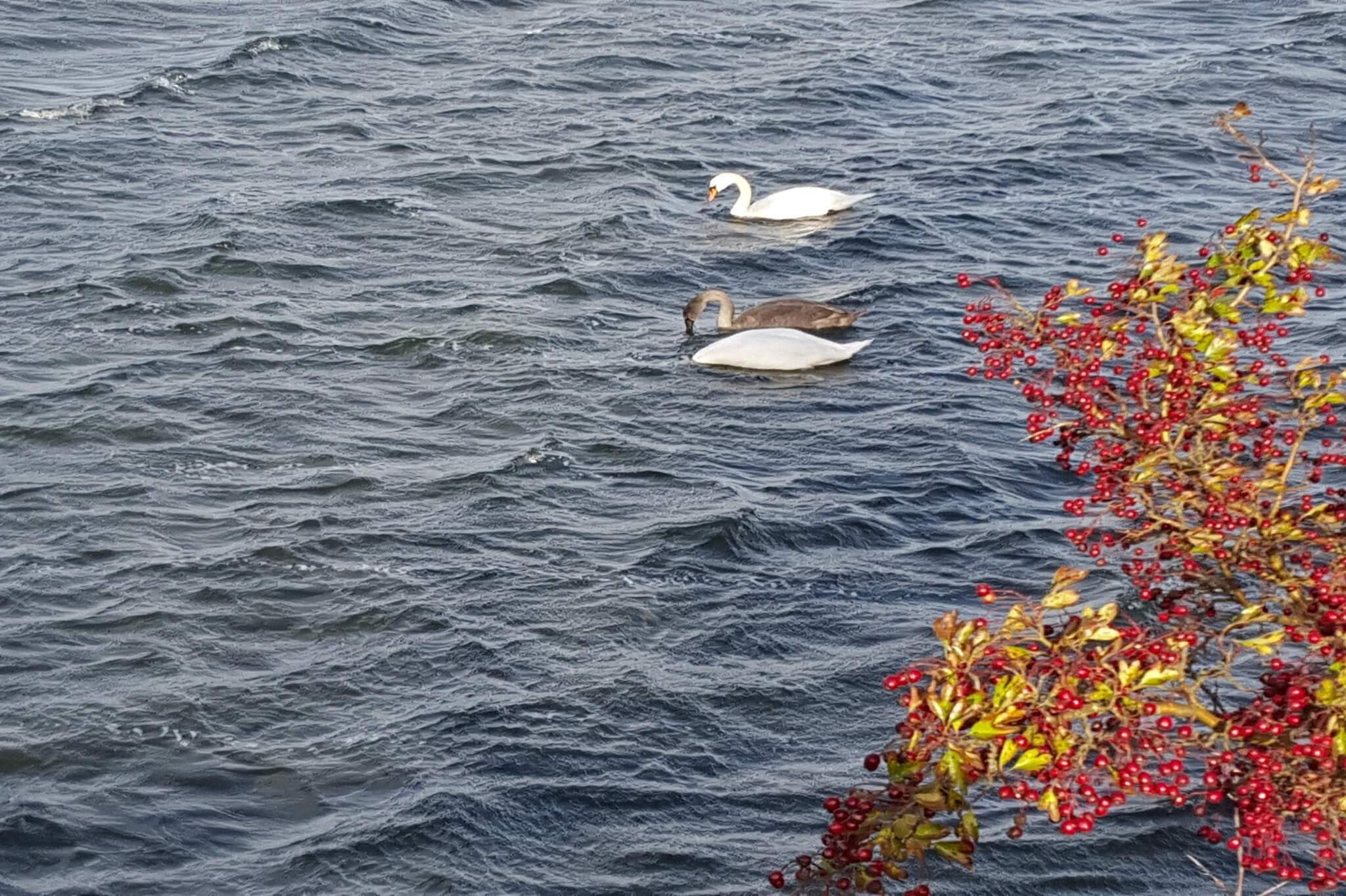 7 person holiday home in Stege-By Traum-Water view