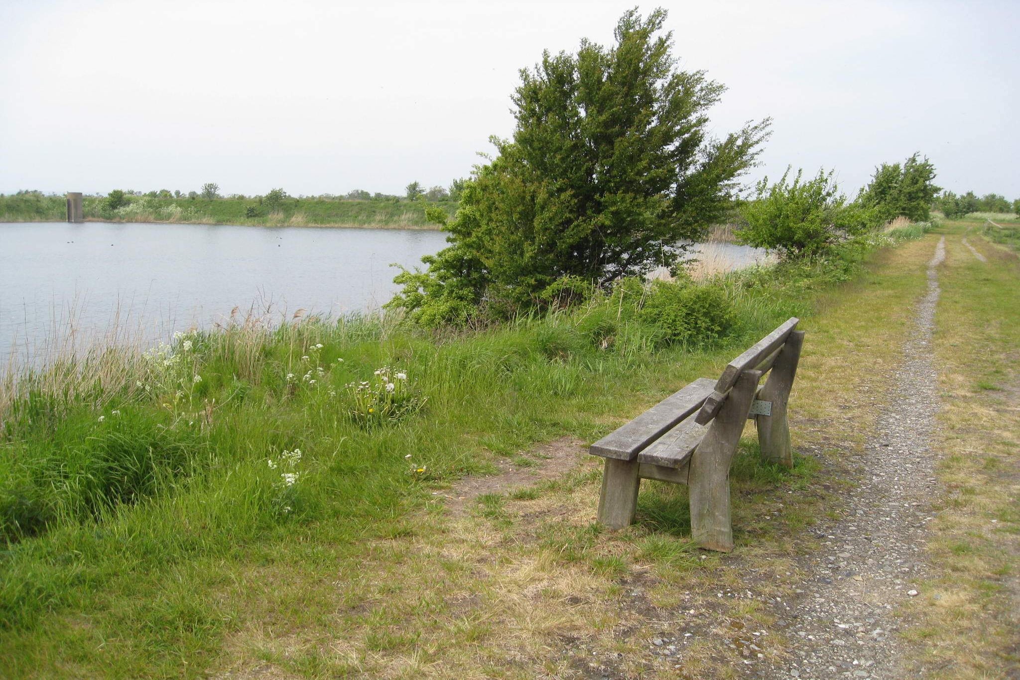 7 person holiday home in Stege-By Traum-Water view