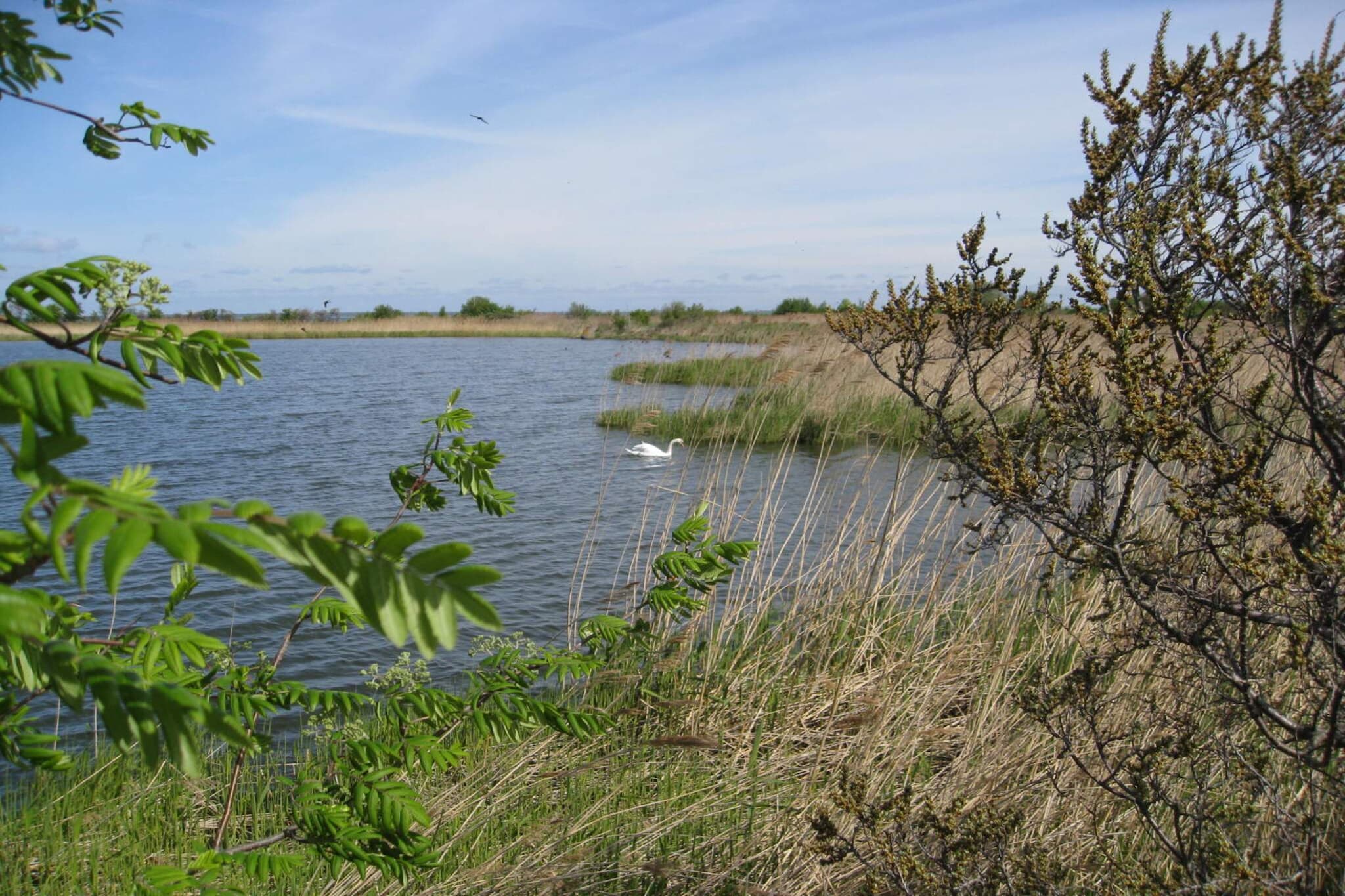 7 person holiday home in Stege-By Traum-Water view