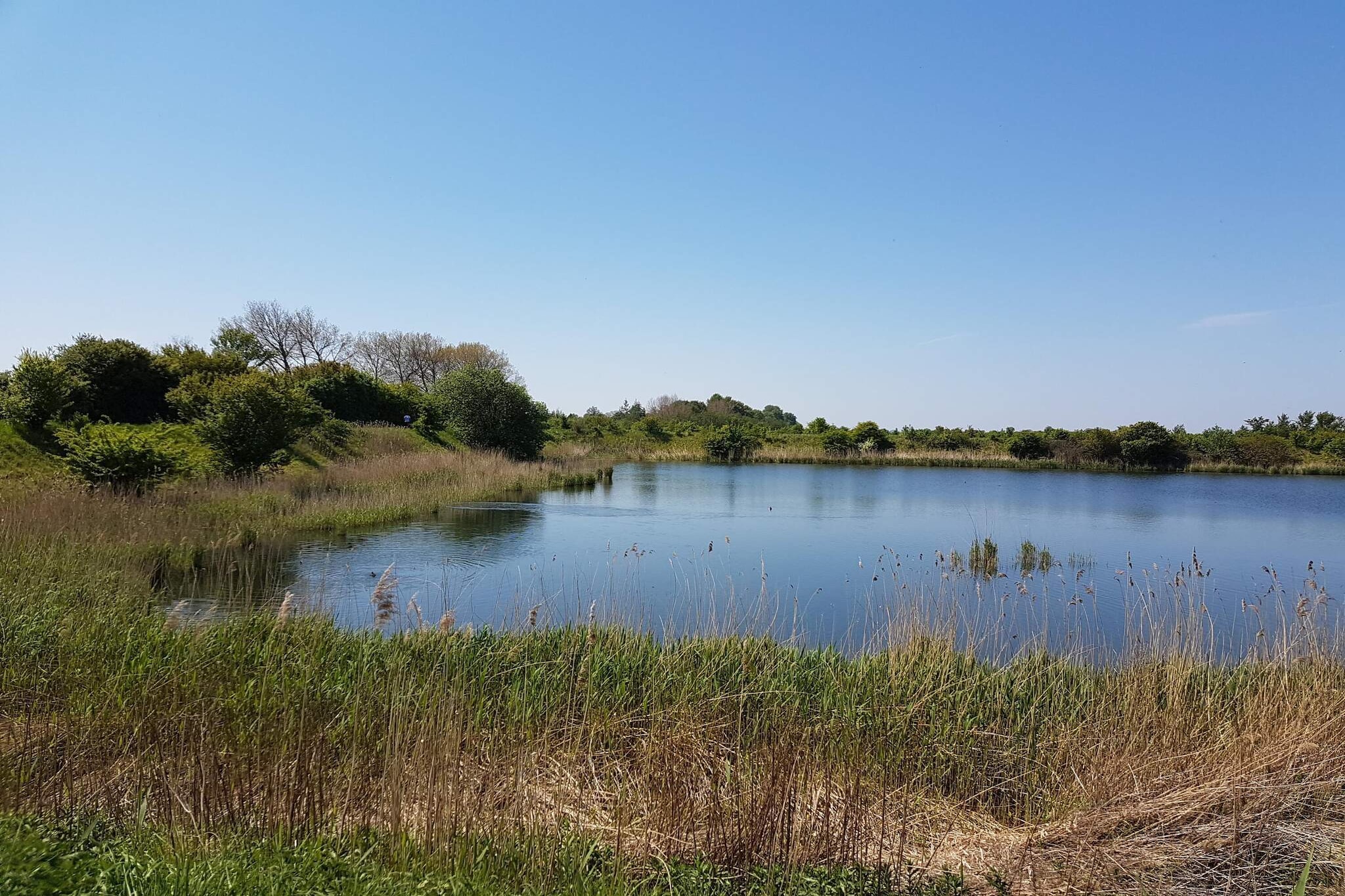 7 person holiday home in Stege-By Traum-Water view