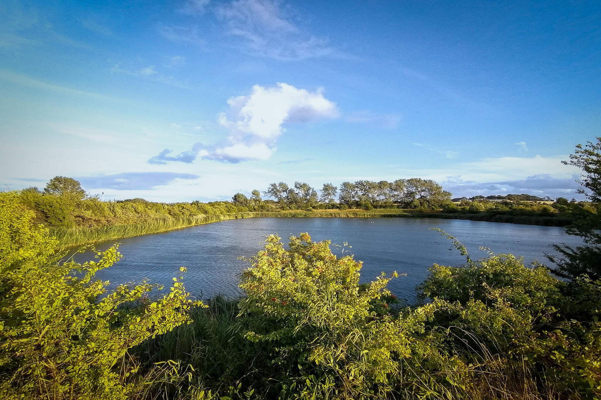 7 person holiday home in Stege-By Traum-Water view