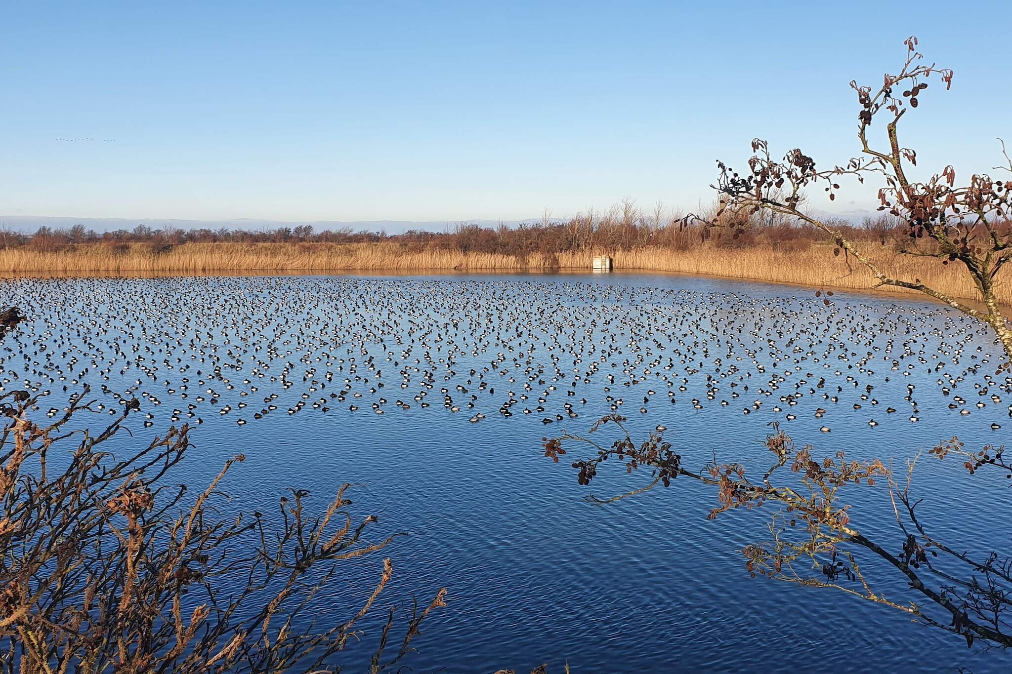 Luxe panoramisch uitzicht -- By Traum Ferienwohnungen-Waterzicht