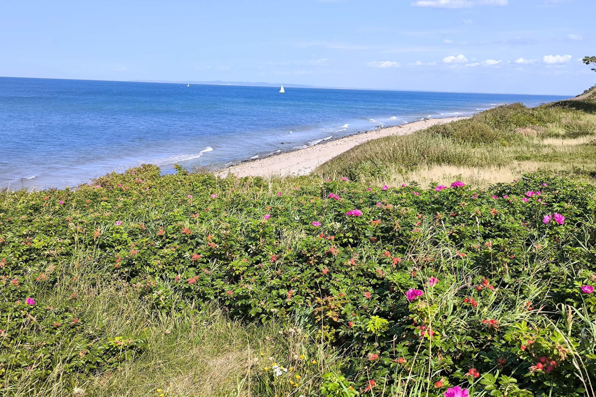 10 persoons vakantie huis in Gilleleje-By Traum-Waterzicht