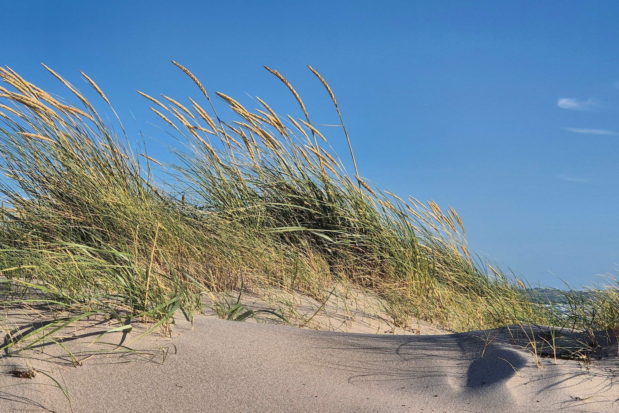 6 persoons vakantie huis in Højby-By Traum-Niet-getagd