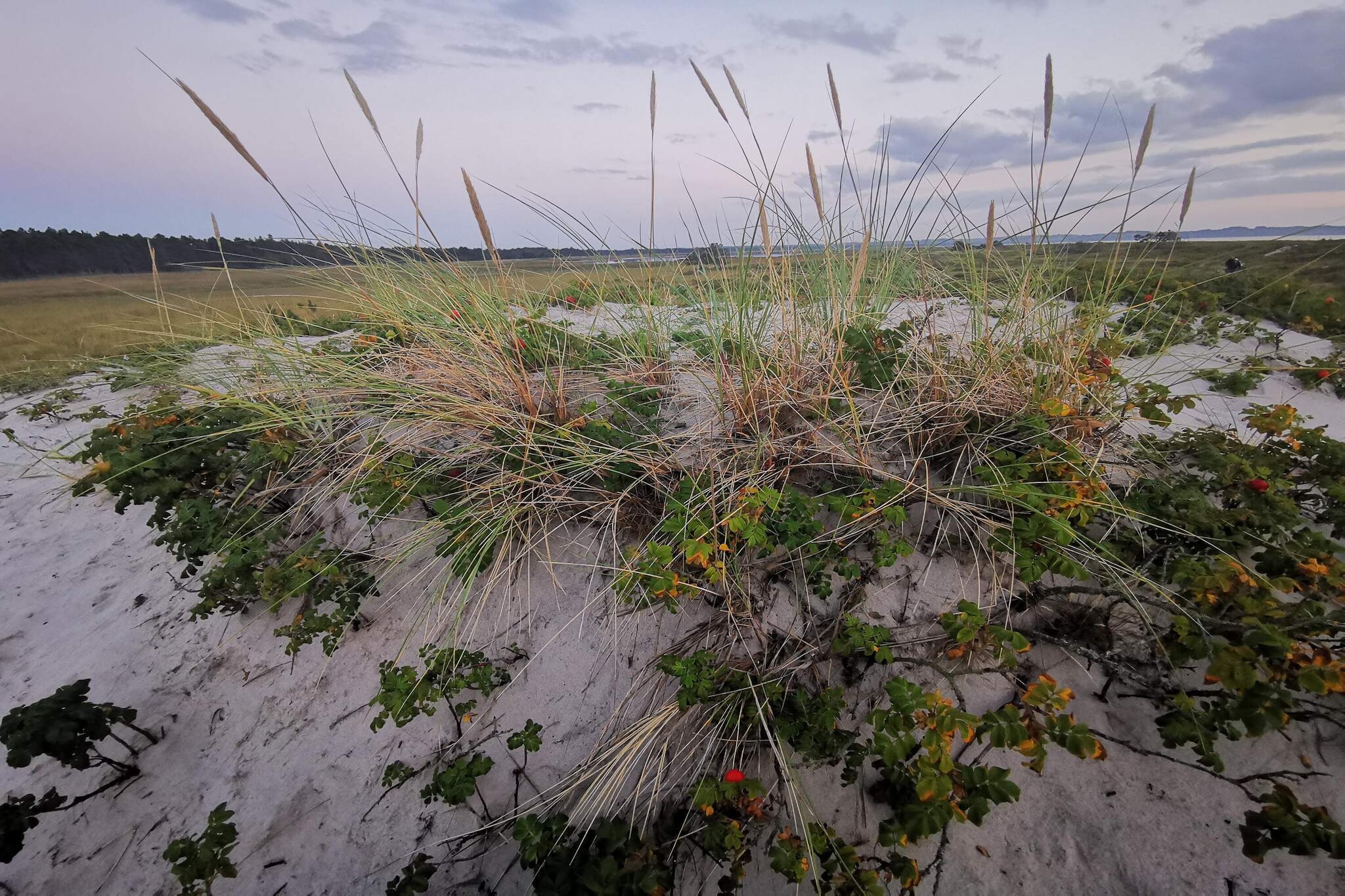 6 persoons vakantie huis in Højby-By Traum-Niet-getagd