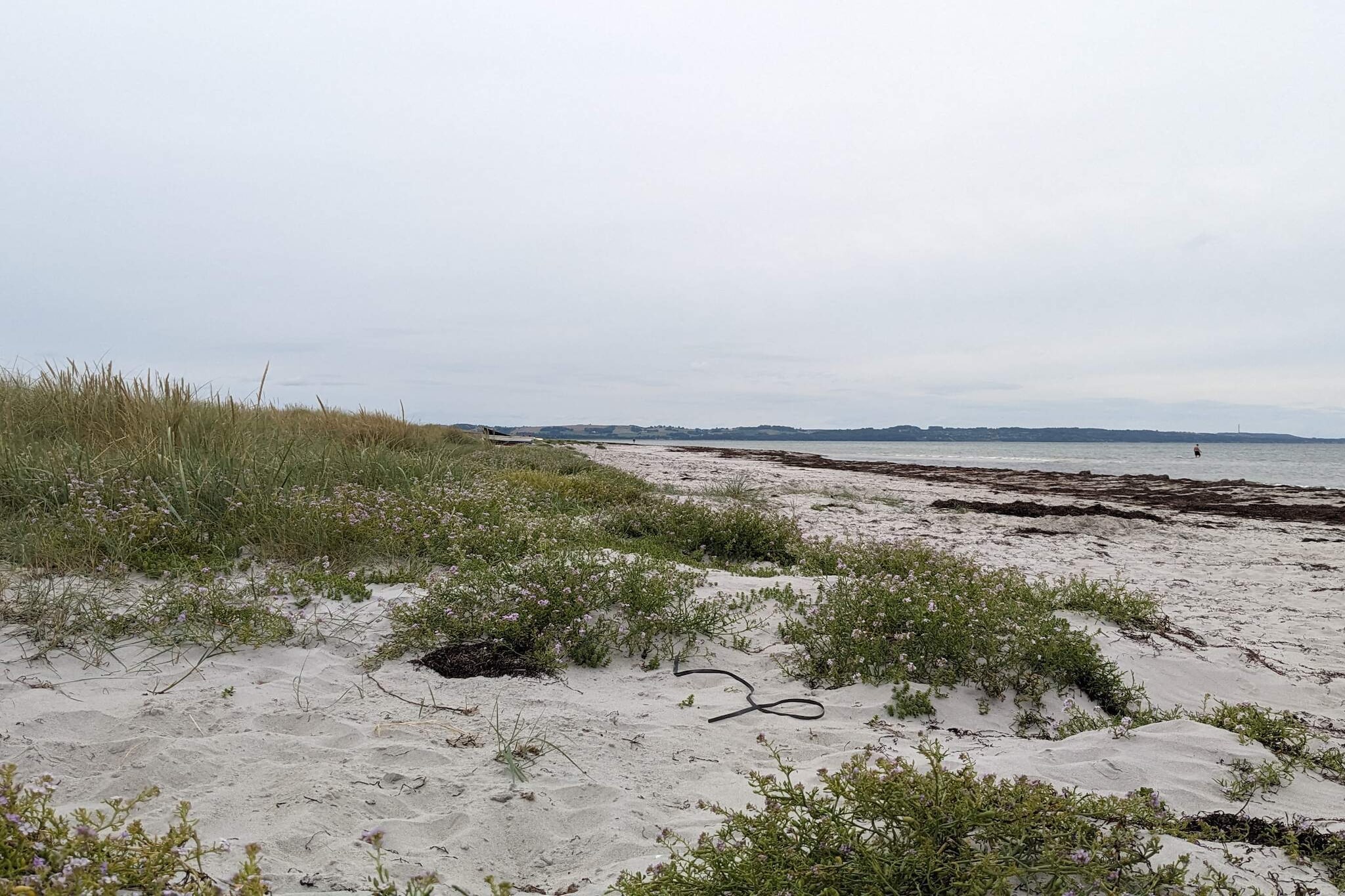 6 persoons vakantie huis in Højby-By Traum-Niet-getagd